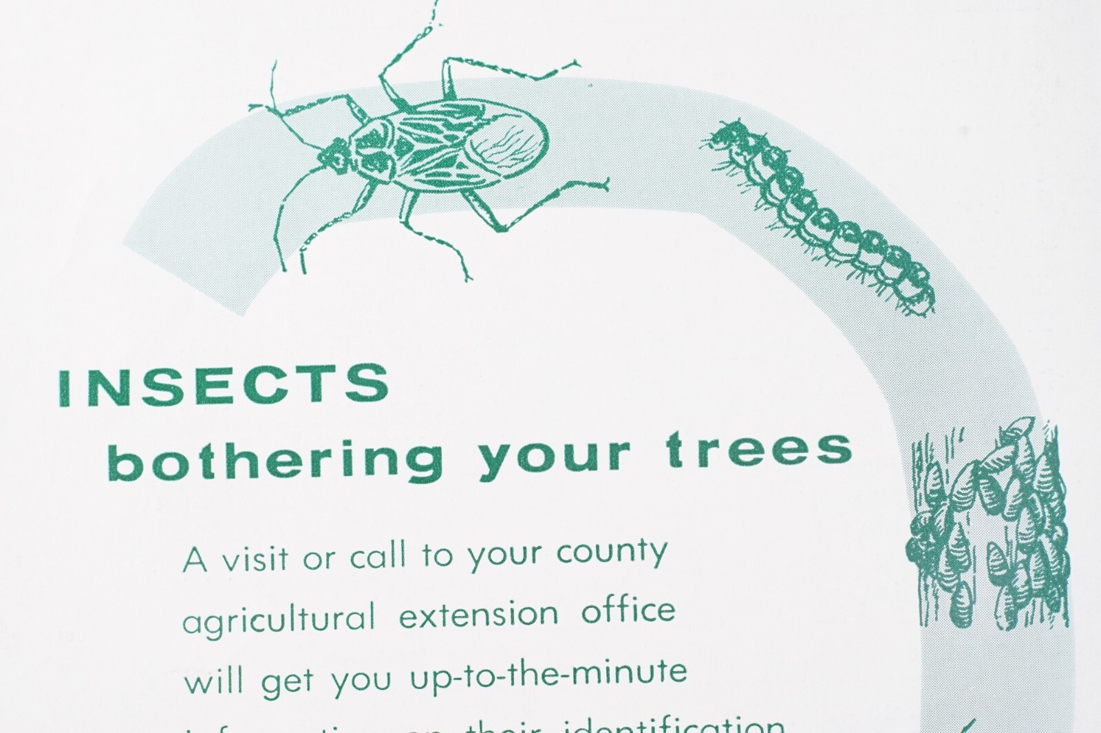 Vintage PA State University Insect Pests Deciduous Shade Trees Agricultural 427
