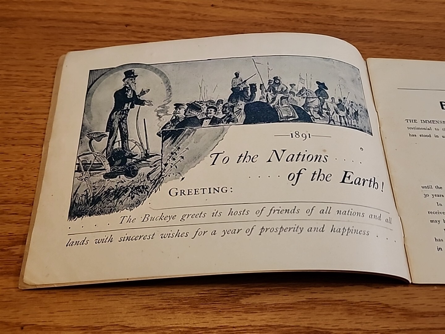 1891 Buckeye Harvesting Machines Aultman Miller Co Catalog Farm Implements