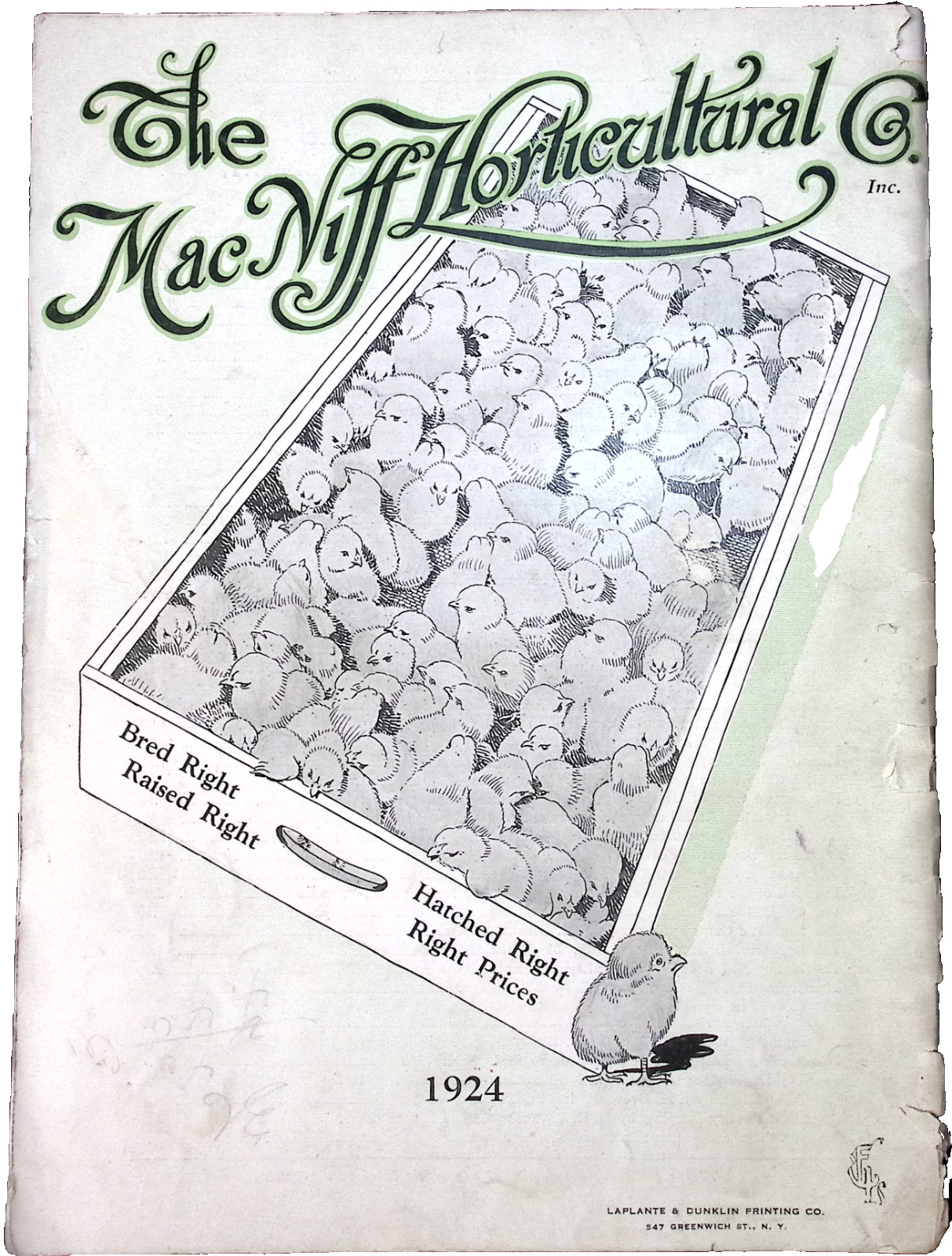 1924 Mac Nigg Horticulture Poultry Chickens Supply Department Catalog NYC NY