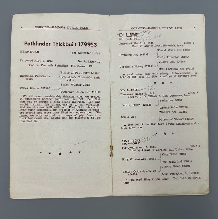 1944 DUROC BOAR Gilt PIG SWINE Sale AUCTION Brochure MT UNION IOWA Vintage Farm