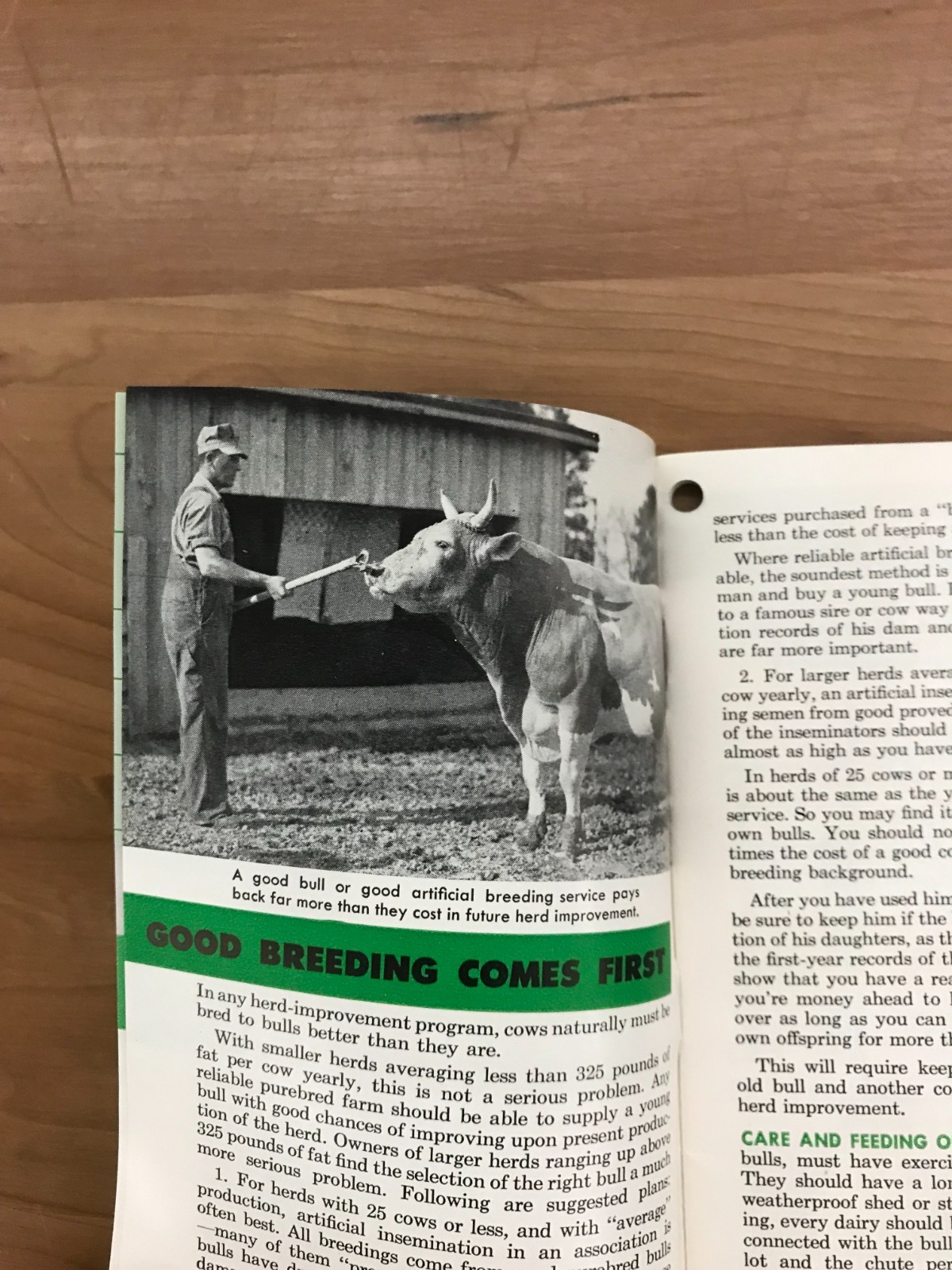 Vintage Purina Dairy Book – Building Your Herd&rsquo;s Milk Making Capacity Booklet