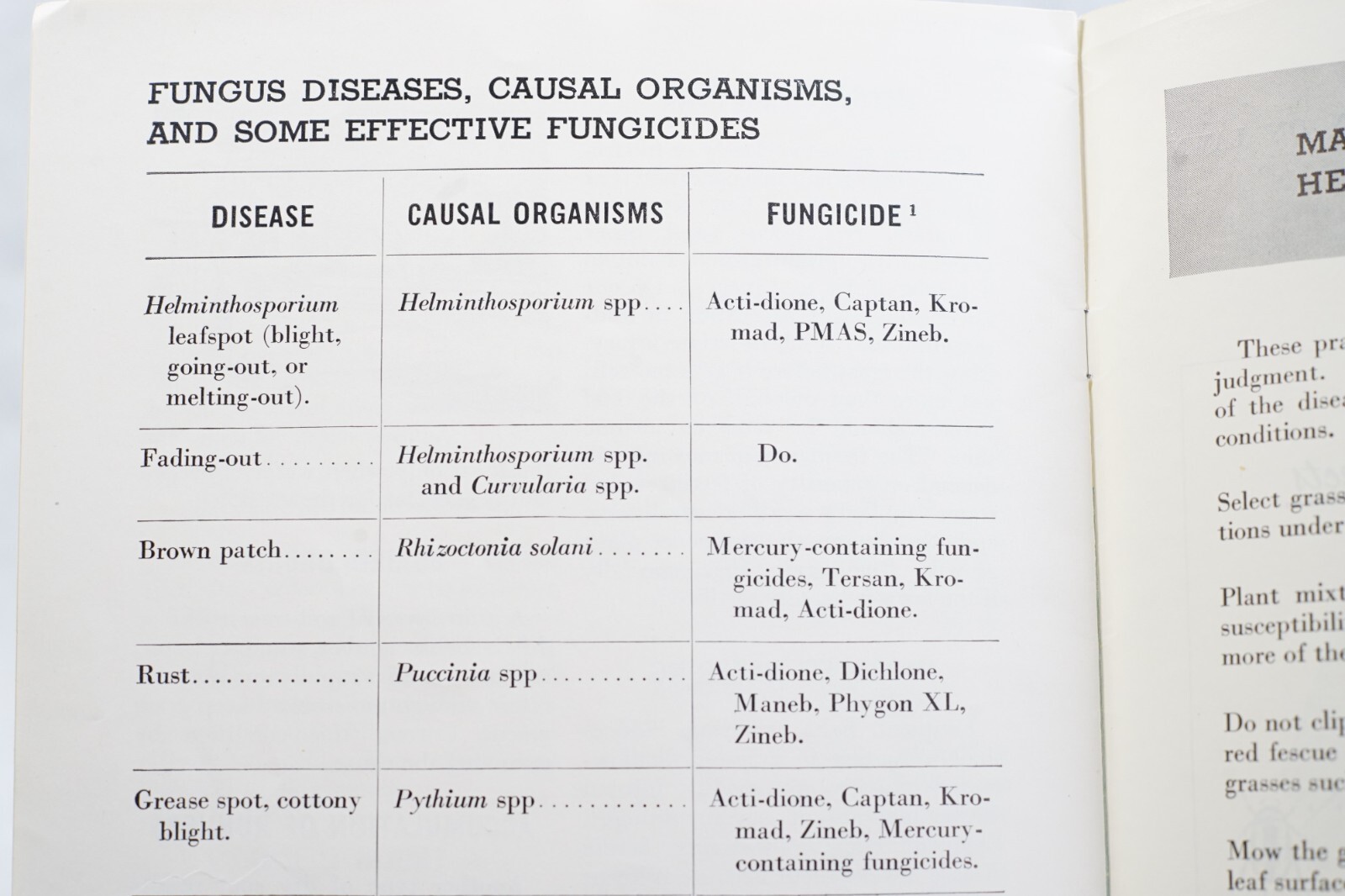 1960s Lawn Diseases USDA Home and Garden Bulletin No. 61 Agricultural Brochure