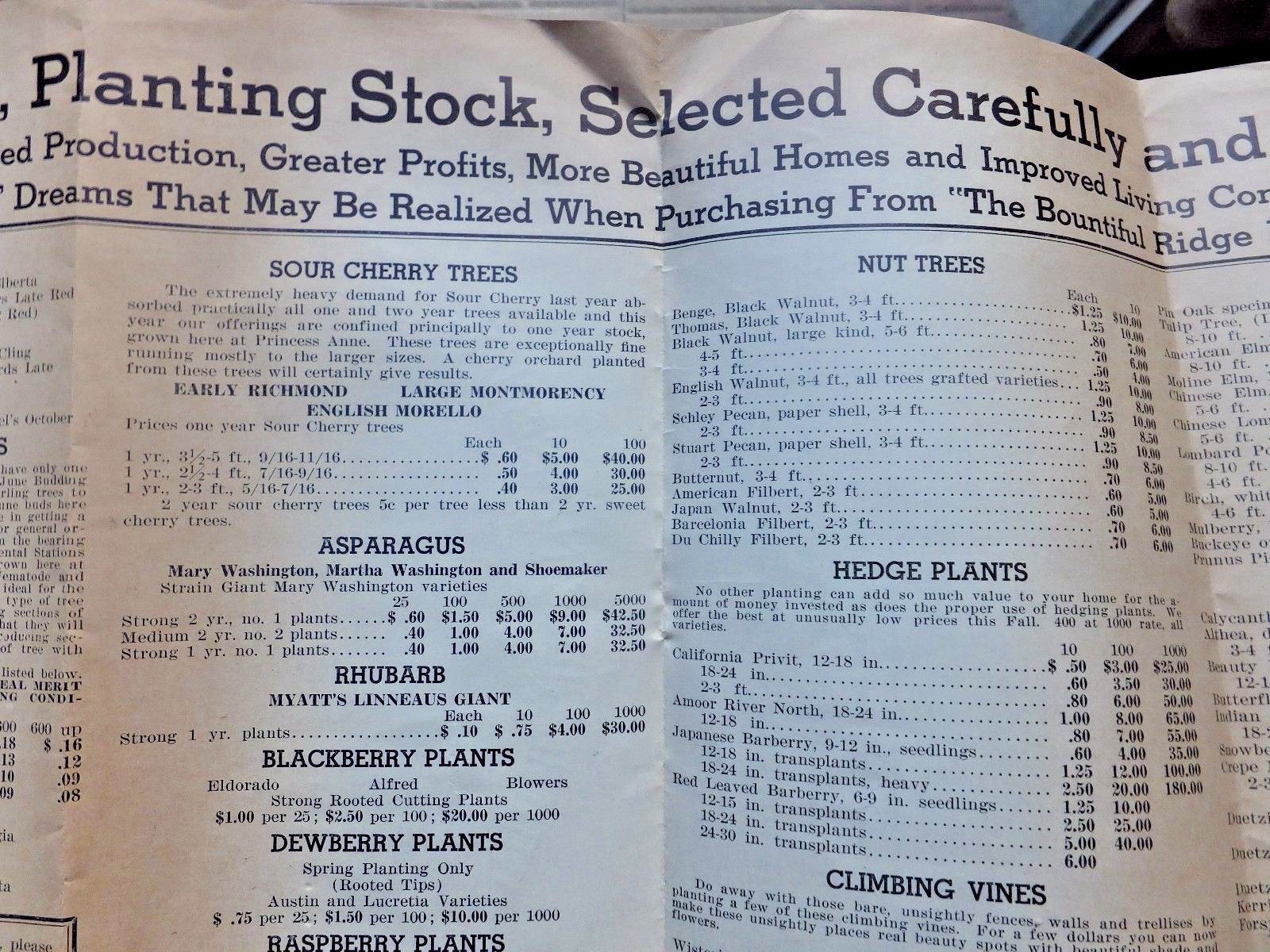 1937 Fruit & Ornamental Price List – Bountiful Ridge Nurseries, Princess Anne,MD