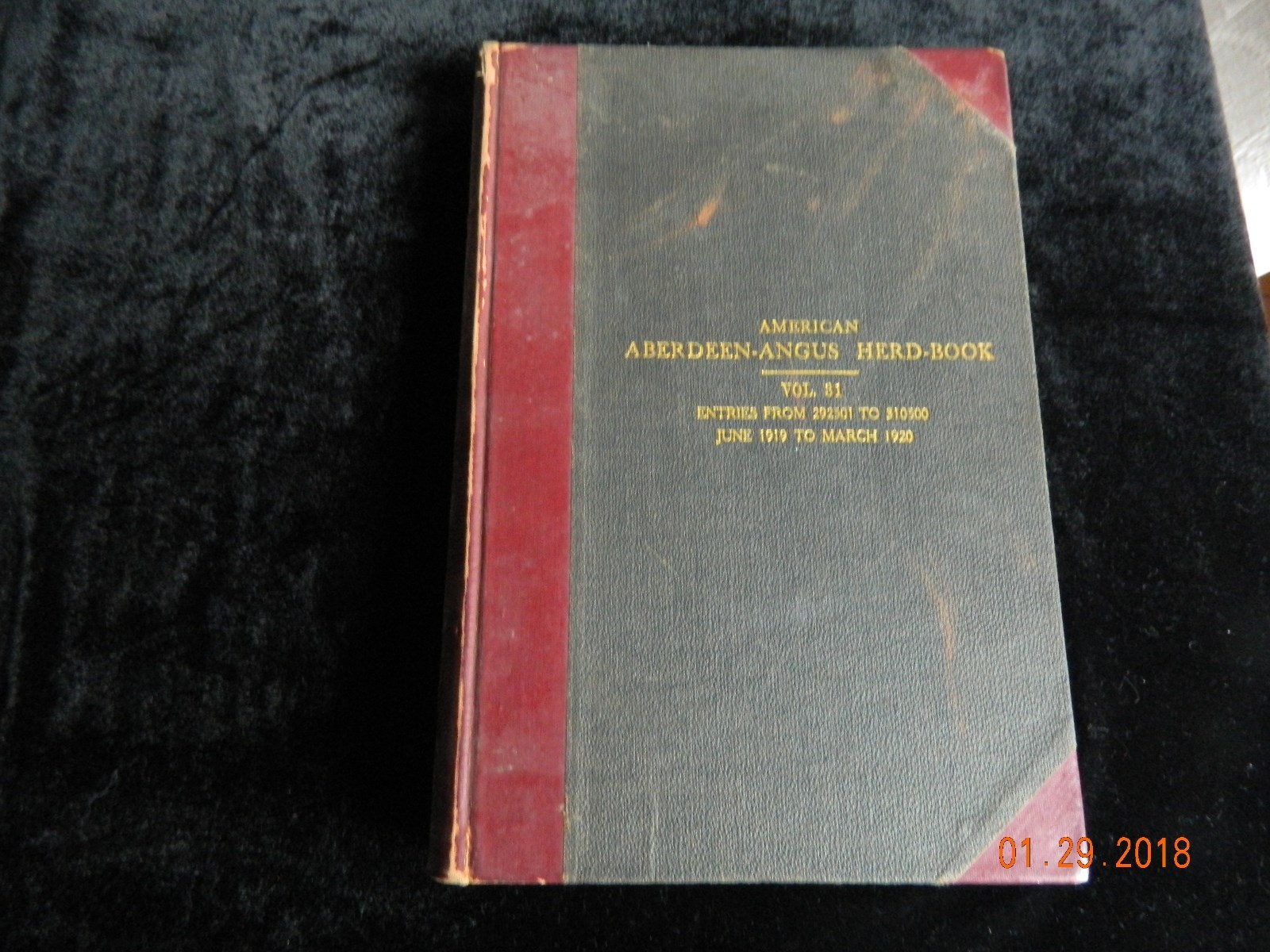 American Aberdeen-Angus Herd Book Vol 31 Original Hardcover RARE VINTAGE 1919