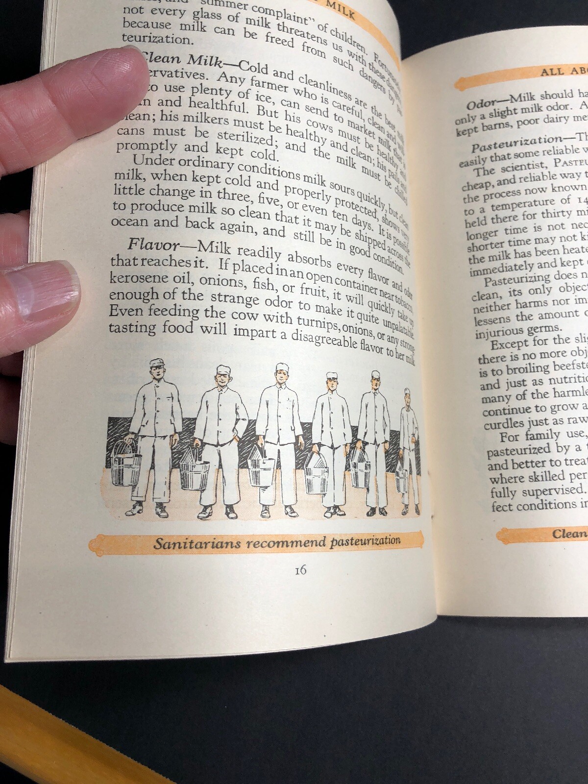Booklet 1925 All About Milk Cow Farm Kids Agricultural Farming Graphics MINTY