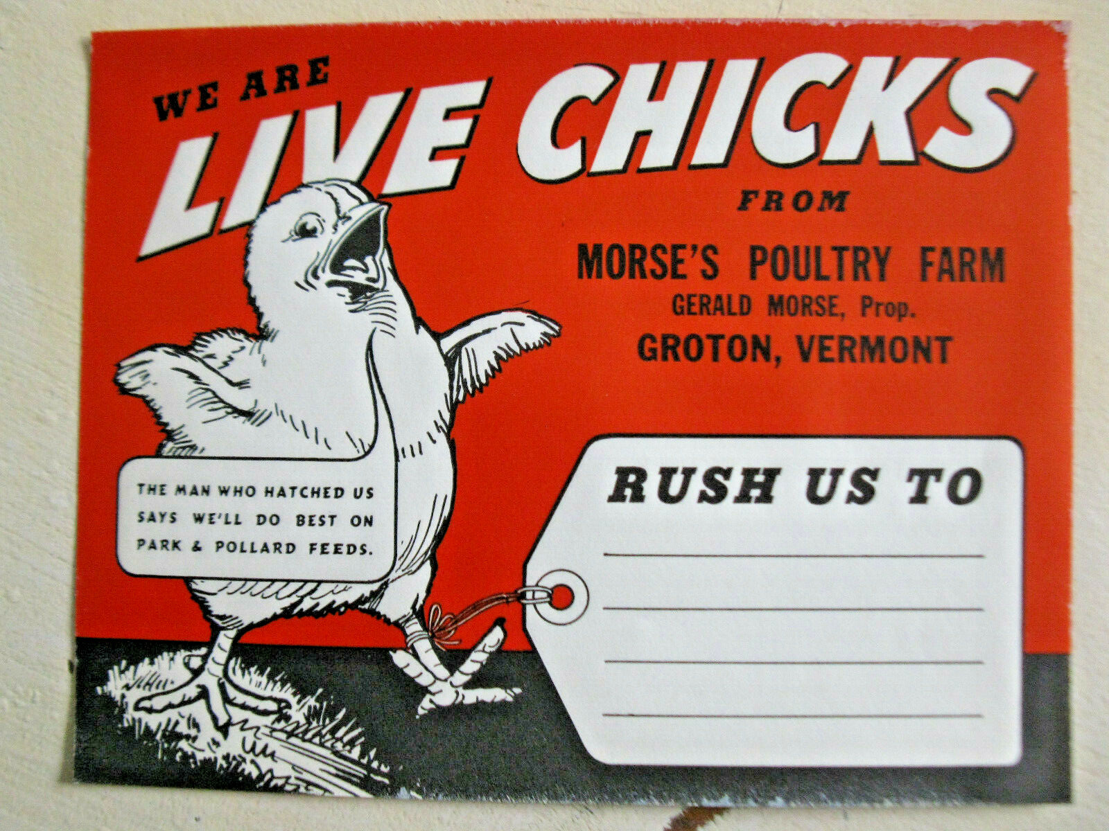 Vintage LIVE CHICKS Morse’s Poultry Farm Groton VT Label Signs Lot of 3