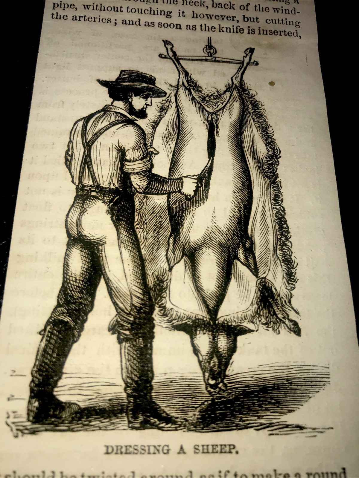 ORIGINAL 1872 Dressing A Sheep Farm Engraving Advertising & Article