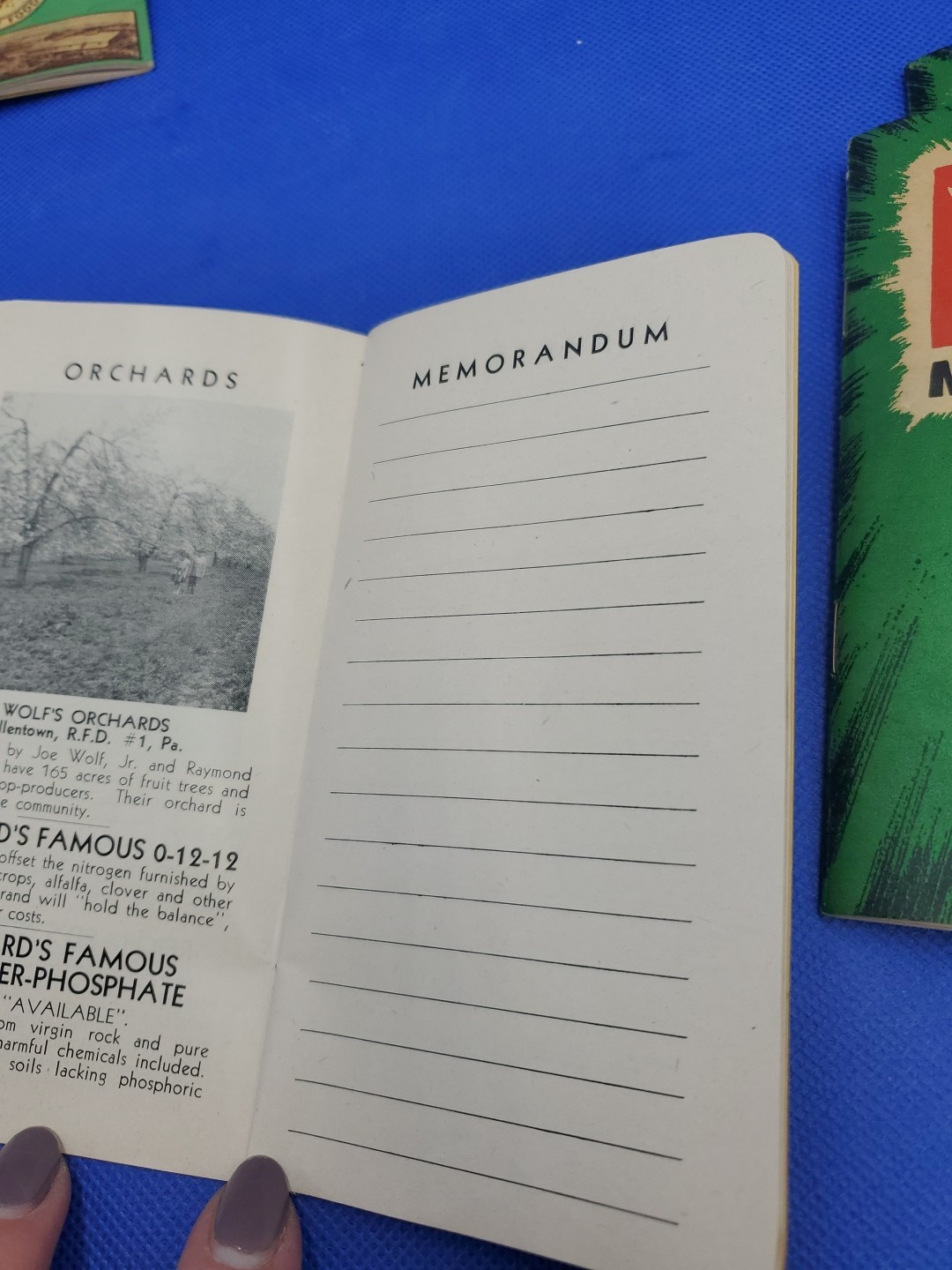VTG Lot of 9 Fertilizer Pocket Memo~Note Books Armour’s, Mathieson, Summer +more