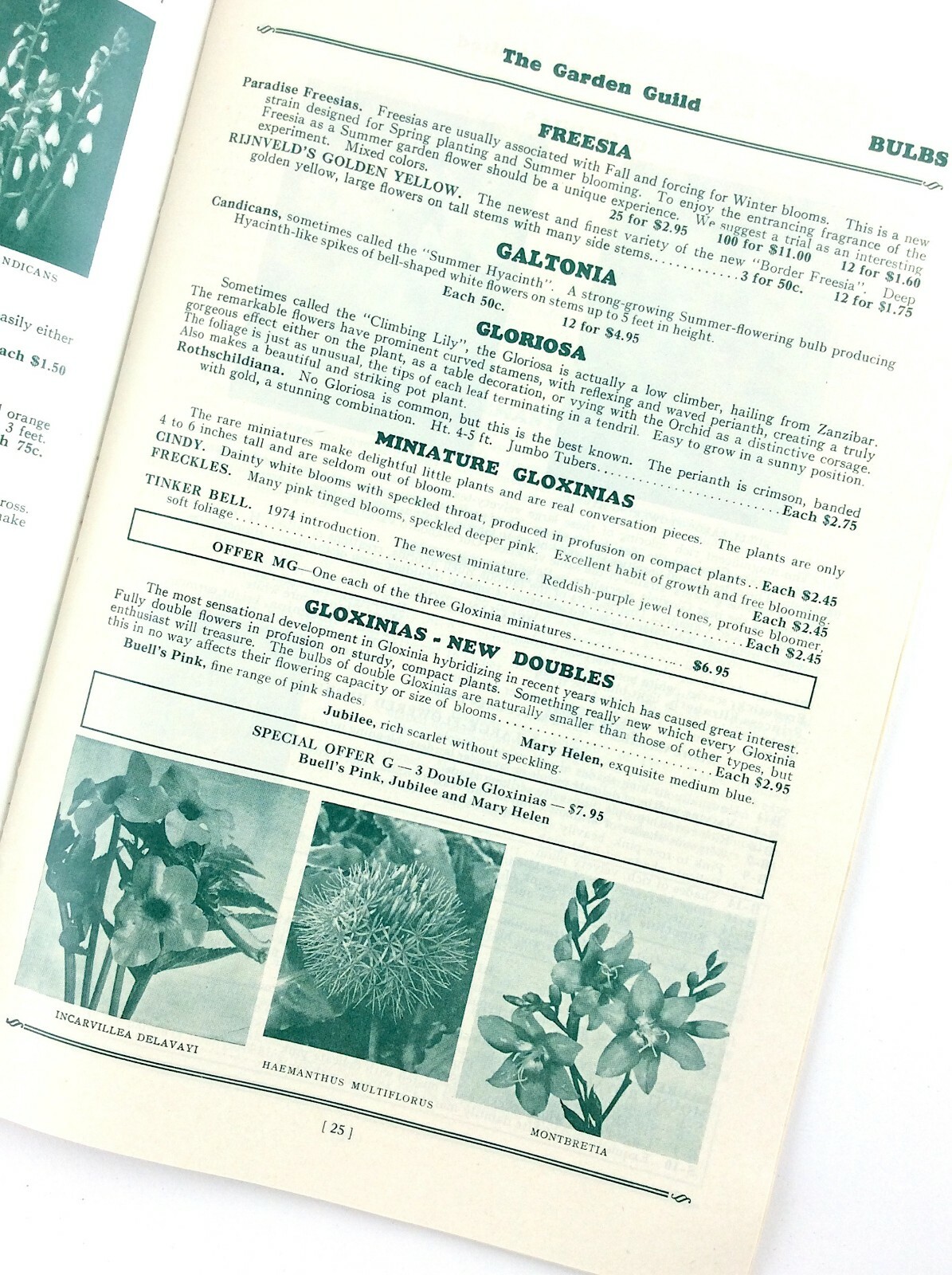 Spring 1975 CA Cruickshank Garden Guild Plant Guide Catalog Booklet L329