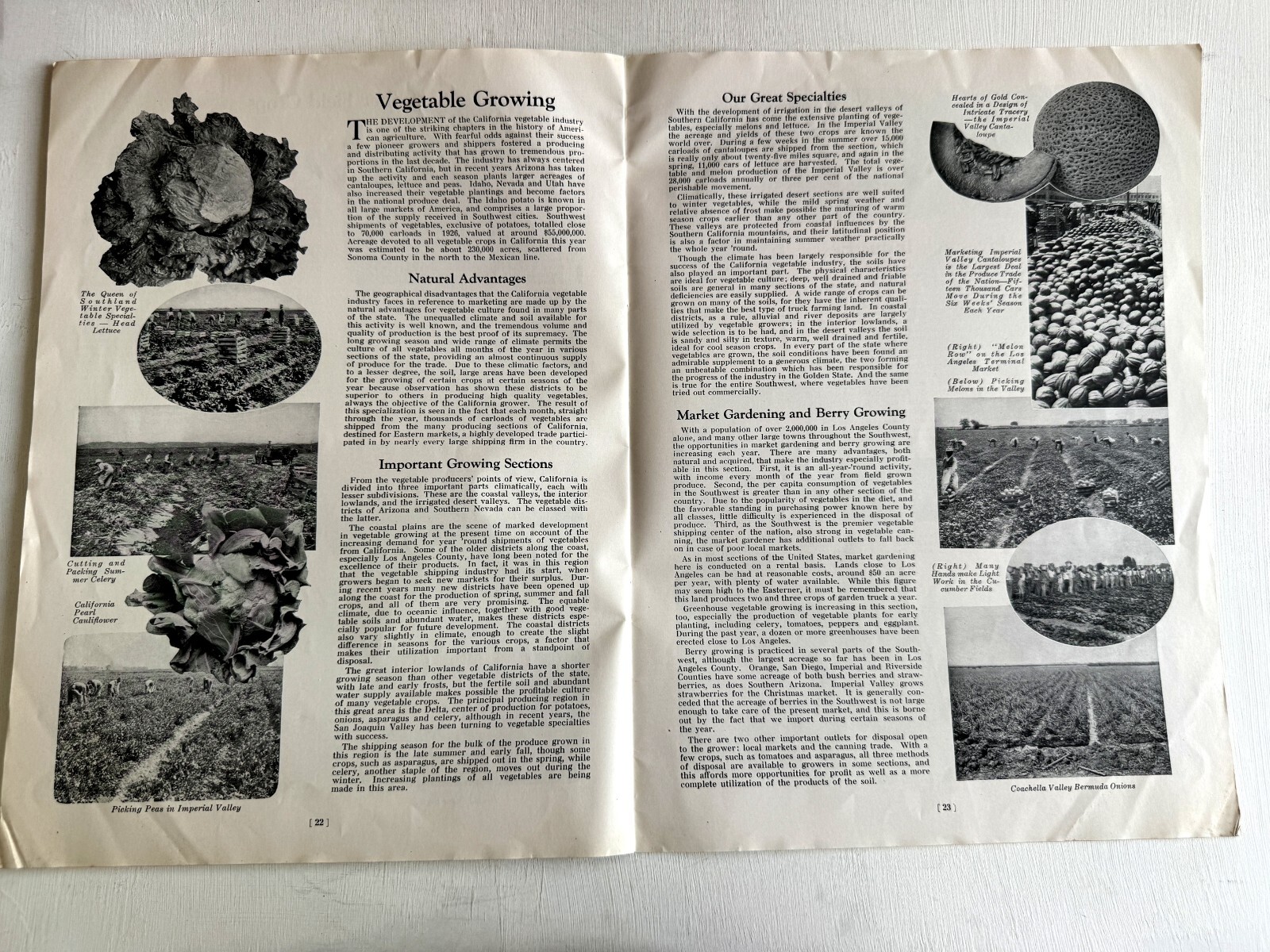 1927 Booklet- Los Angeles the Center of an Agricultural Empire