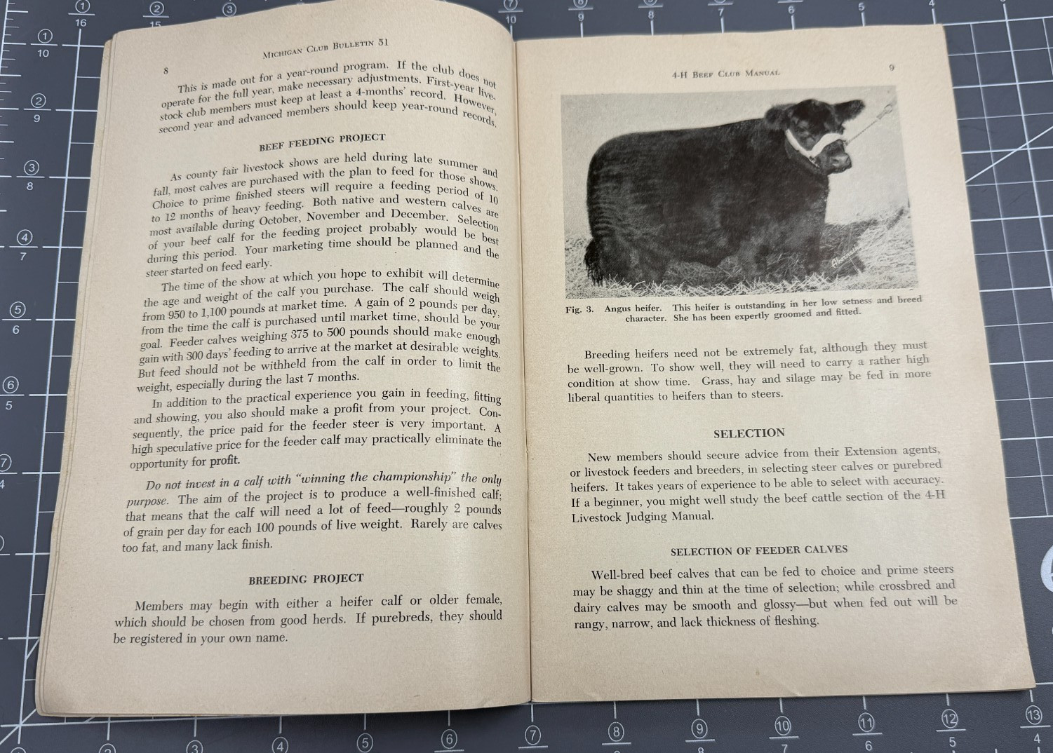 Vintage Sept. 1955 Pamphlet 4-H Beef Club Manual Michigan State University MSU