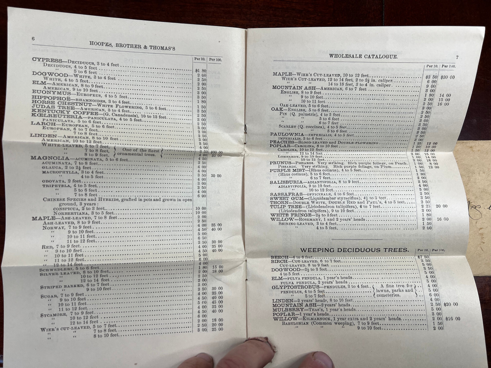 Hoopes Bro & Thomas Maple Ave Nurseries West Chester, Pa Catalogue & Envelope
