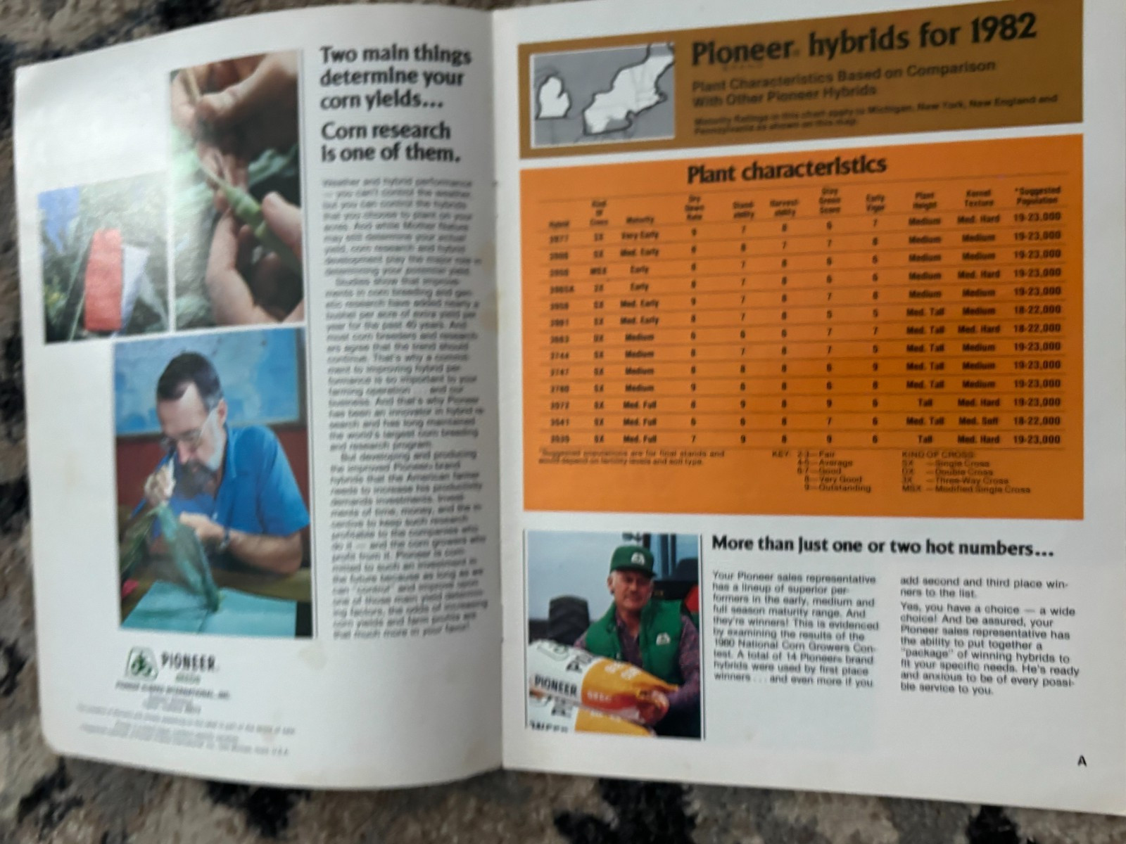 Pioneer Hybrids Seed Corn For 1982 Brochure DCPA26