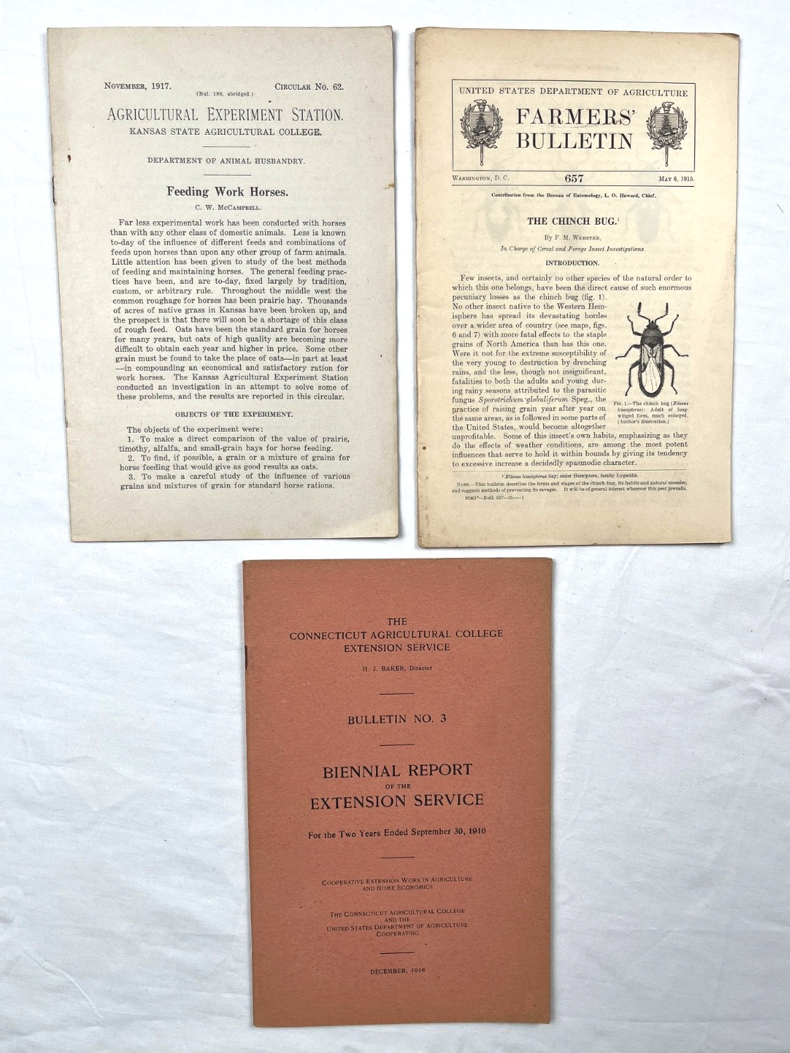 Lot of 3 Vintage USDA Bulletins 1915–1917 – Horse Feeding, Chinch Bug, Extension