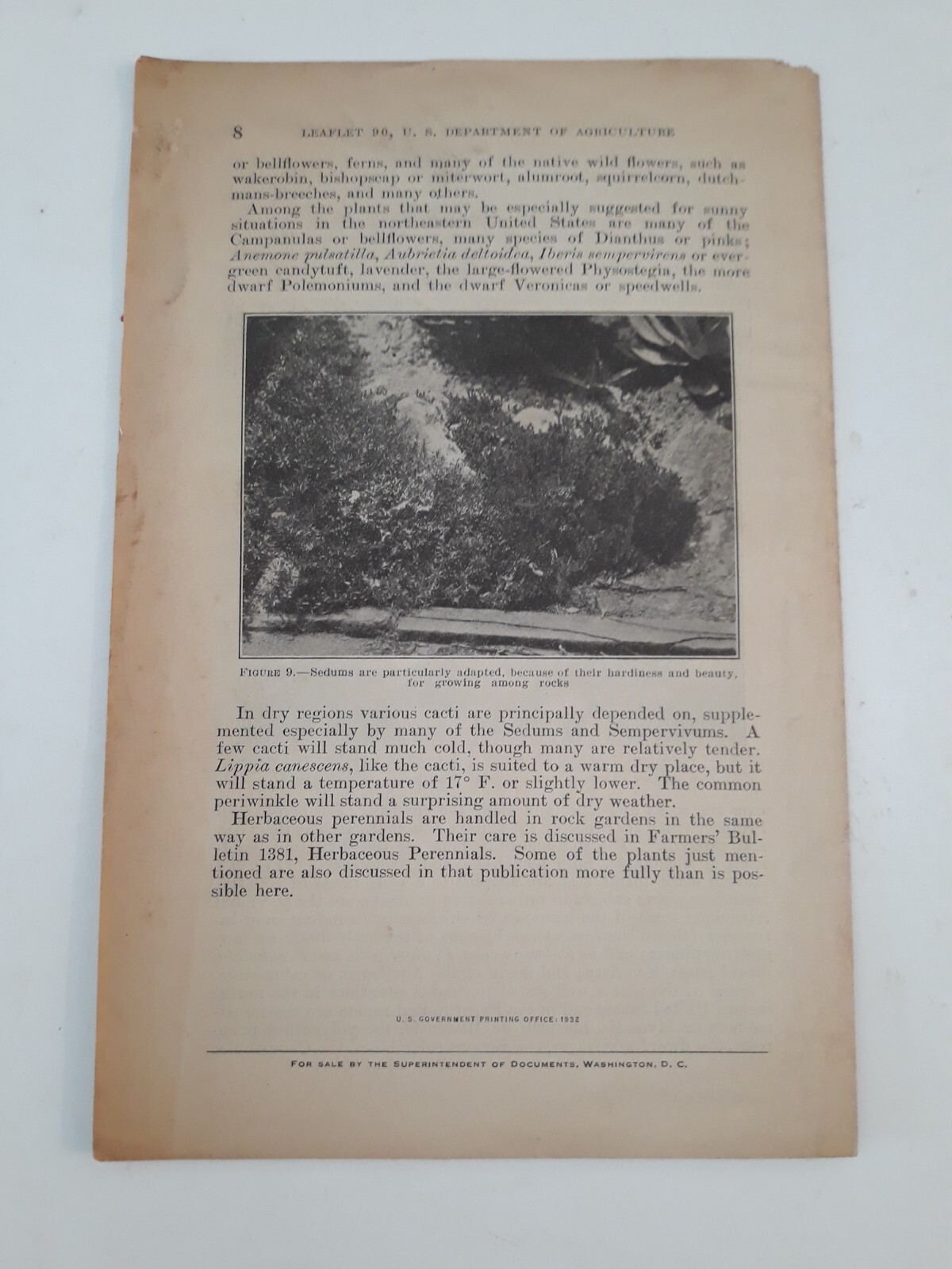 LOT Vtg rockeries 1932 leaflet usda 8 pages #90 J10