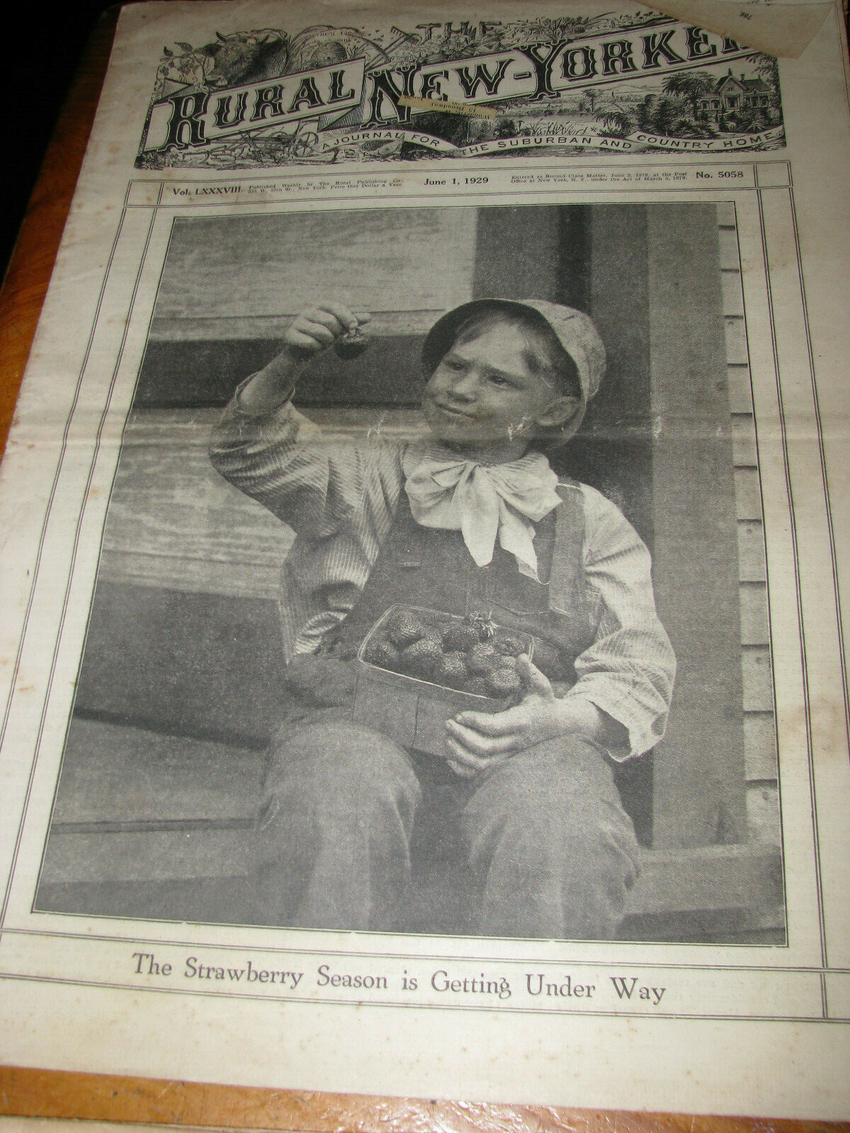 Eleven Vintage 1923-1941 The Rural New Yorker Journal Newspaper