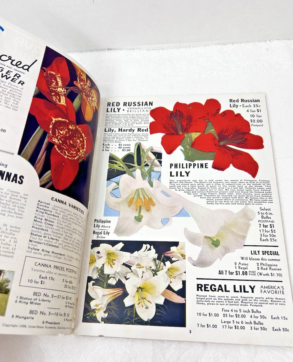 1938 Inter-State Nurseries Catalog 28 Color Pages Fruits Flowers Vegetables OHIO