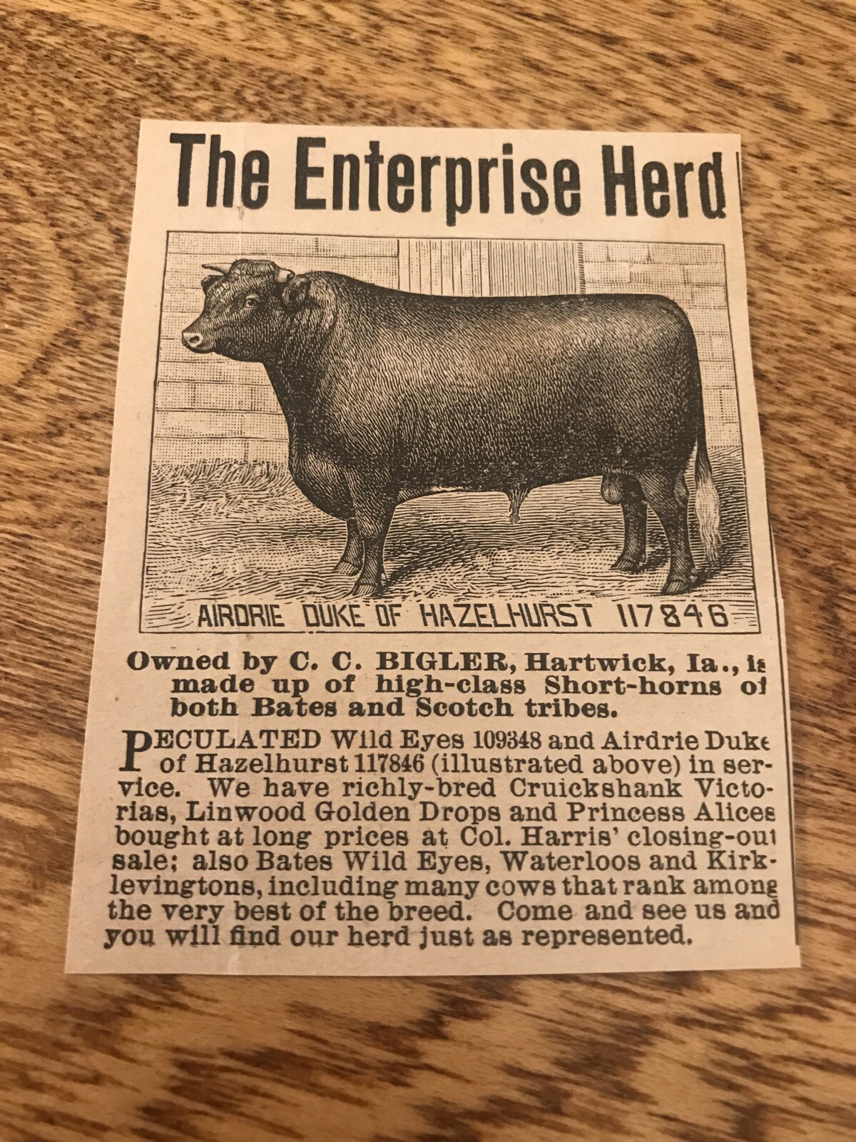 1899 C.C. Bigler Cattle Sale – Hartwick – Iowa – Cow Advertising