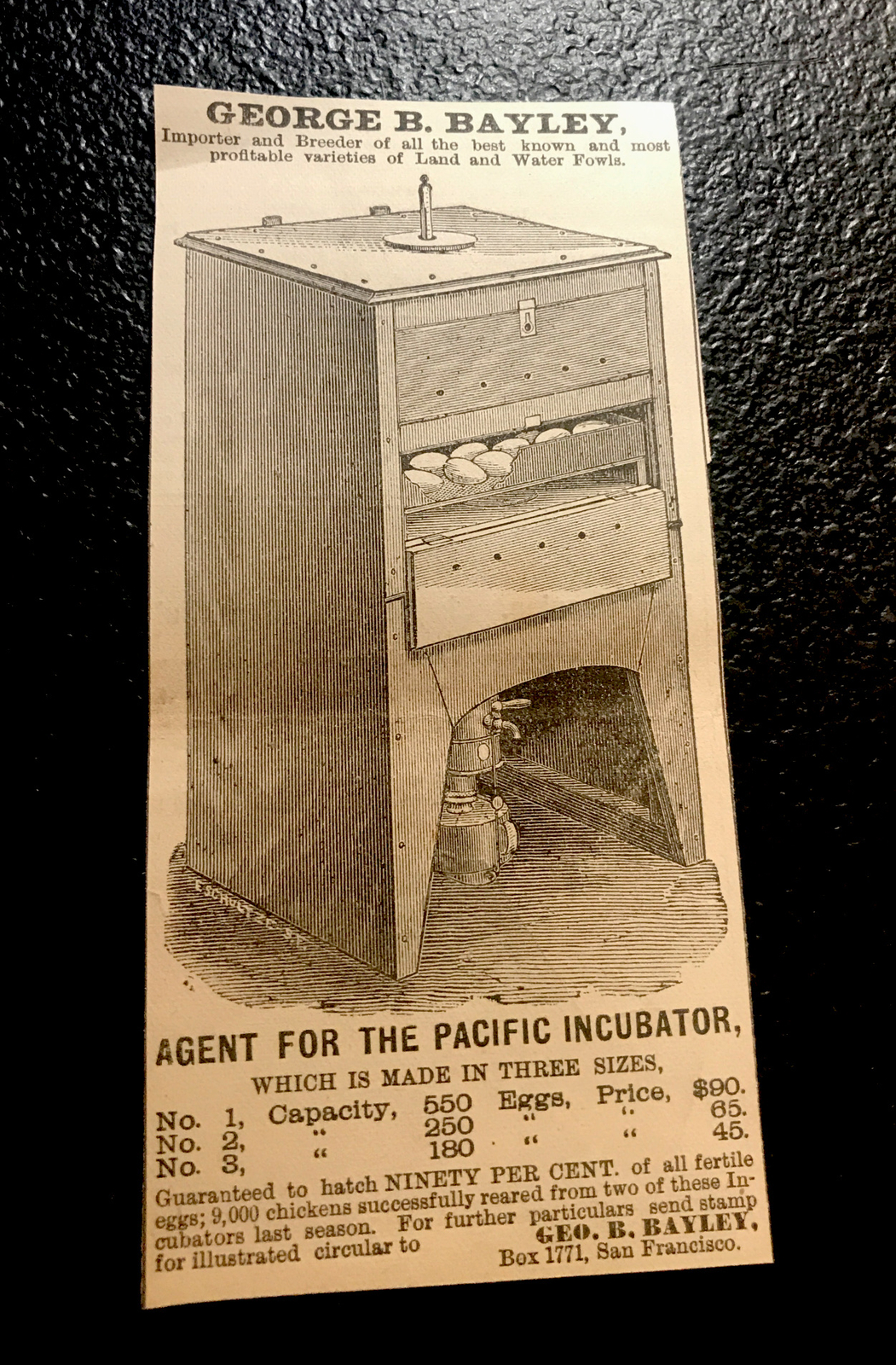 1882 Pacific Egg Incubator Chicken Farm Advertising – San Francisco California