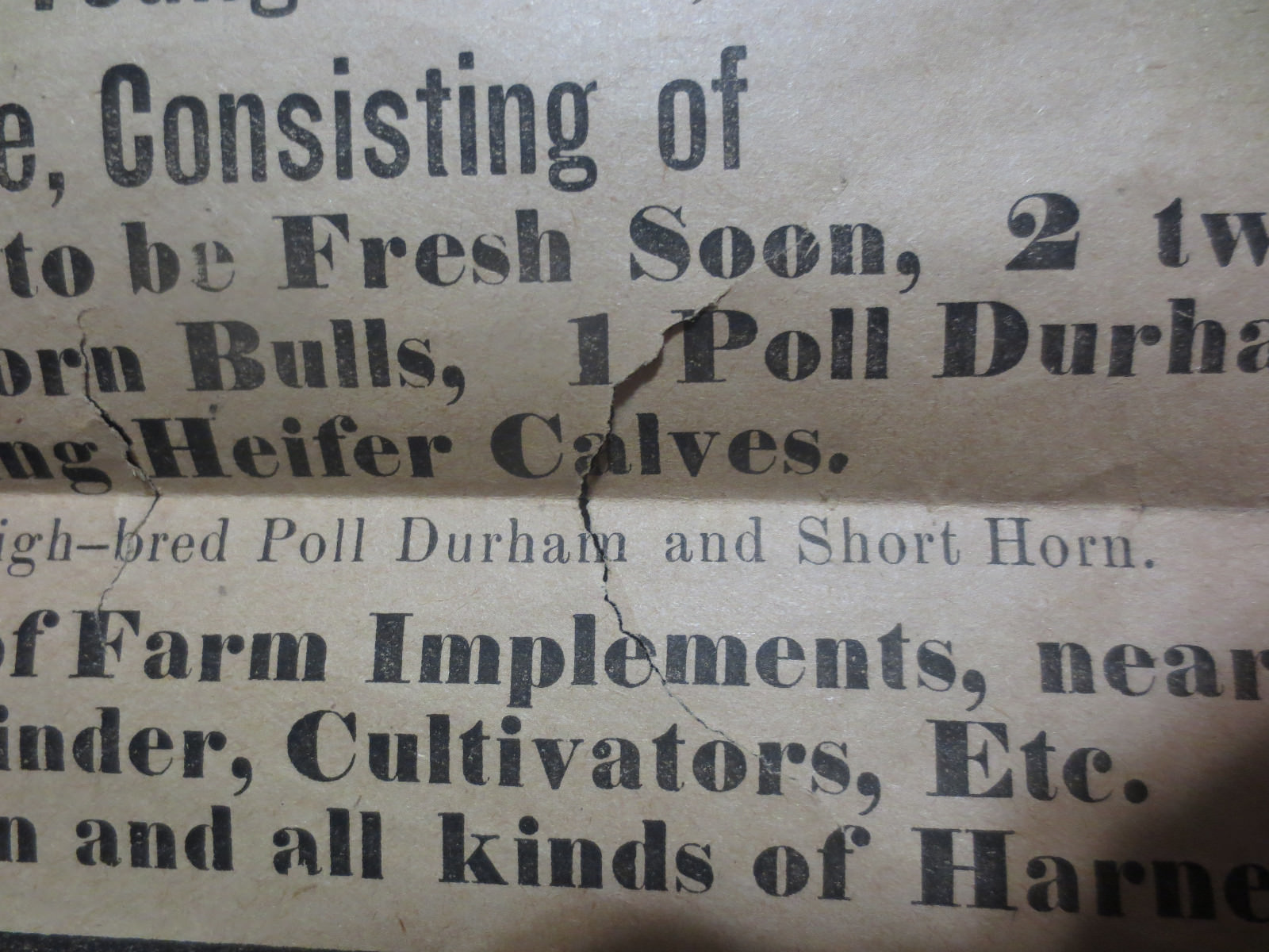 HUTSONVILLE ILLINOIS FARM AUCTION ADVERTISING BROADSIDE 1906 W.A. DAVIS OWNER