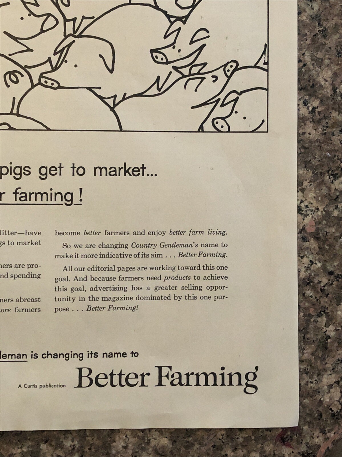 1954 Better Farming Magazine Promo PRINT AD Pigs Country Gentleman VTG 1950s