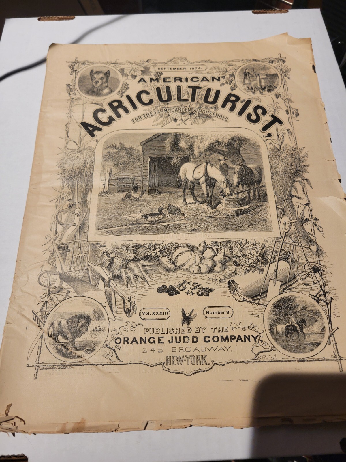 September 1874 American Agriculturist Farm Garden Household Print