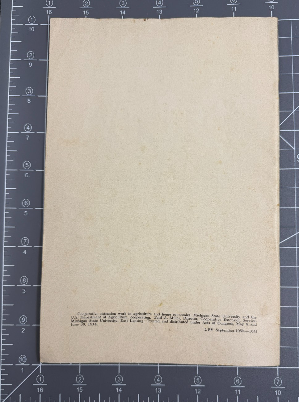 Vintage Sept. 1955 Pamphlet 4-H Beef Club Manual Michigan State University MSU