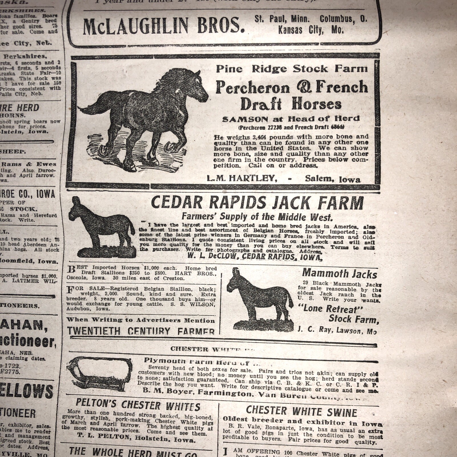 the twentieth century farmer weekly1904