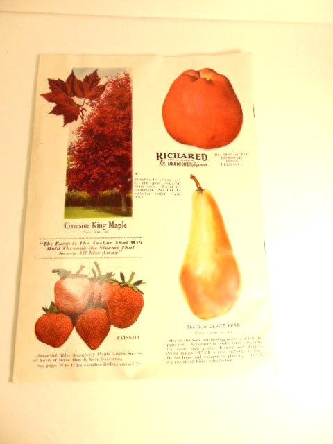 Vintage Fall 1954 – Spring 1955 Bountiful Ridge Nurseries plant catalog