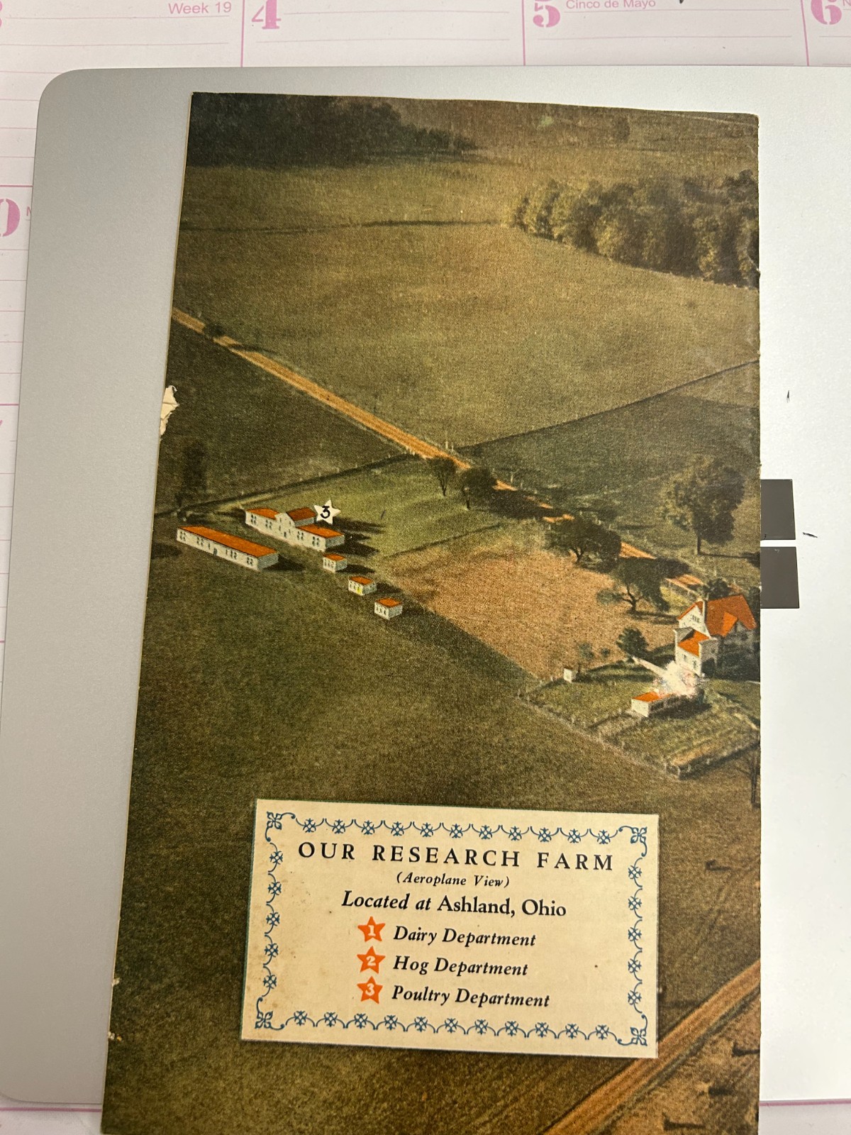1928 Dr Hess Products Catalog Hess Clark Ashland OH Veterinary Farm Animals