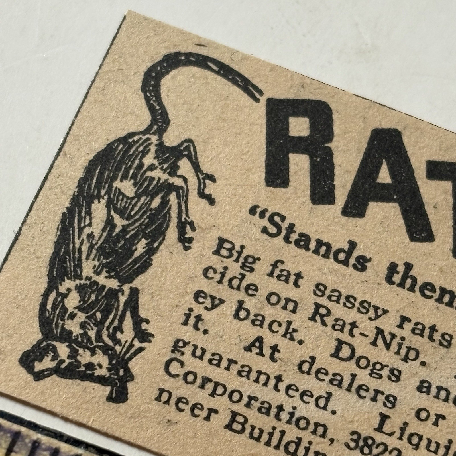1927 Rat-Nip Vintage Magazine Print Ad Old 20s Farming Rats Pest Mice Control NY