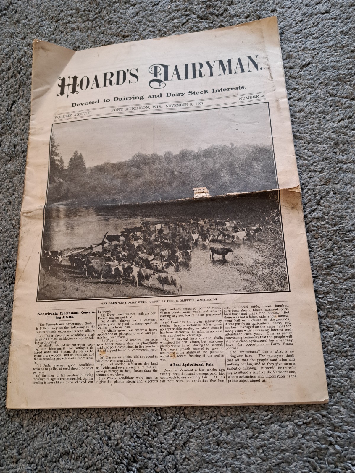 November 8 1907 Hoard&rsquo;s Dairyman Newspaper Dairy Farming Magazine