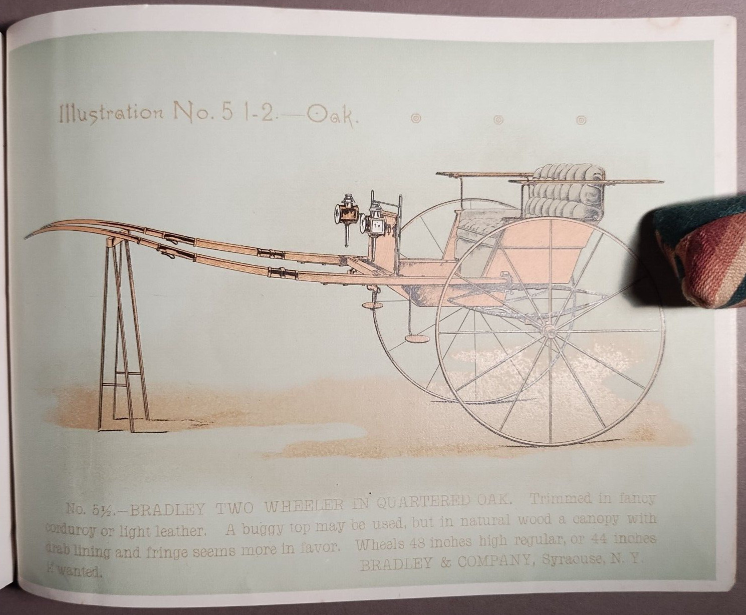 1890s Bradley & Co Syracuse Wagon Carriage Full Color Catalog Original B5-34
