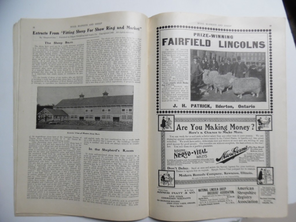 1901 Wool and Sheep Markets Journal Devoted To Sheep Cultural Pan-American Expo