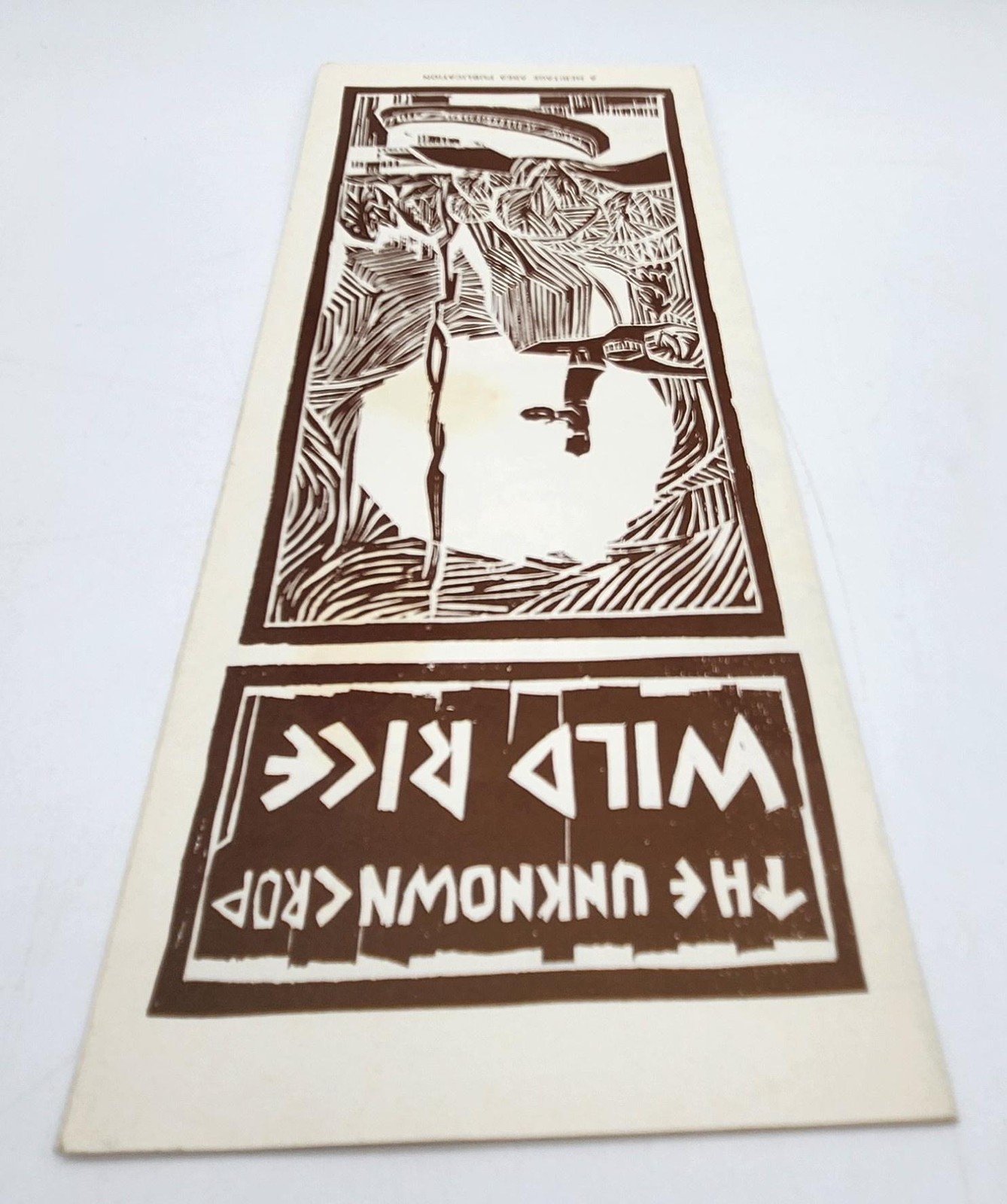 Unknown Crop Wild Rice Manitoba Heritage Cultural Affairs History Canada Food