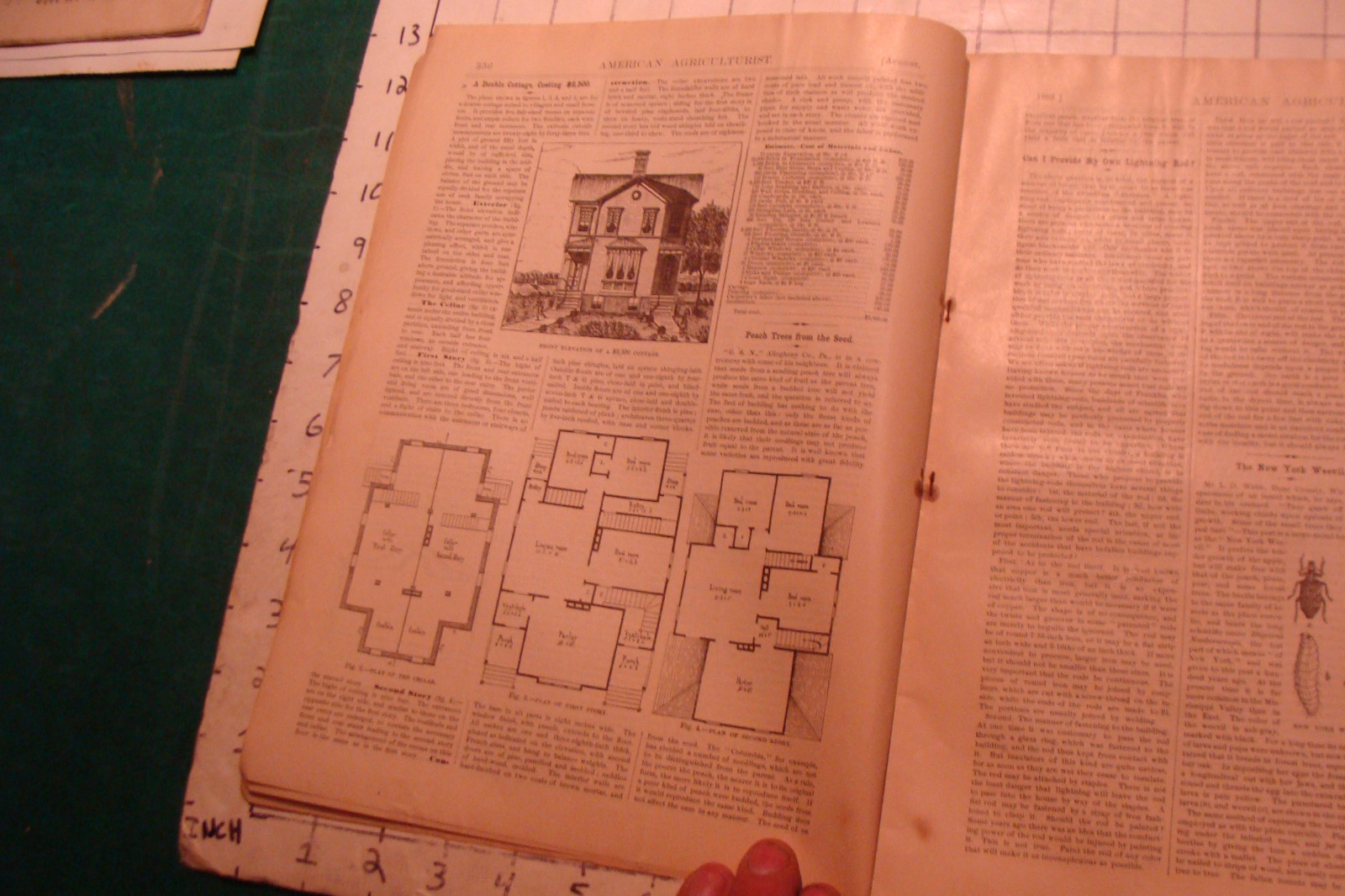 Vintage American Agriculturist 1883 august; great vignettes, horses running
