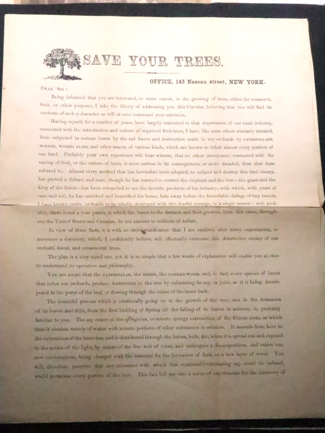 Rare Civil War Era Save Your Trees Circular C.H. Tyler NY Orchard Pest Broadside