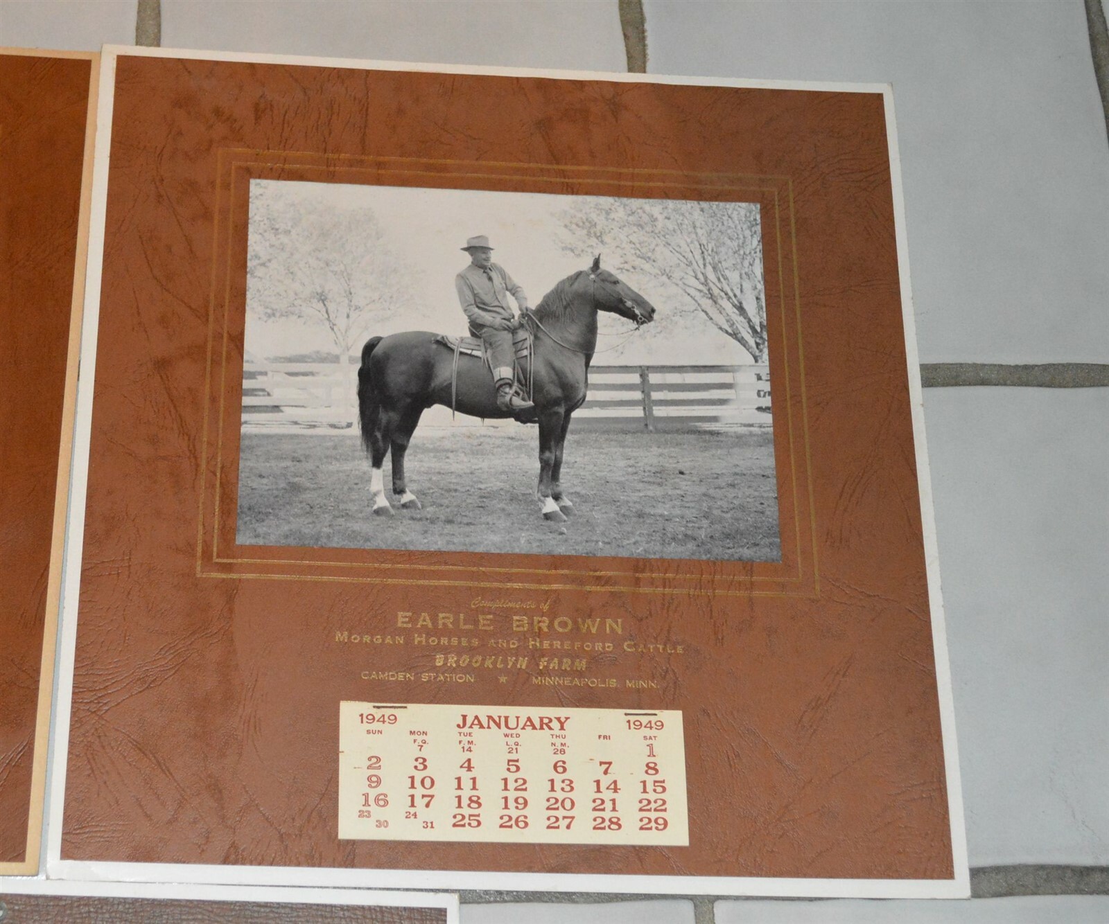 5 1946-1957 Earle Brown Calendars Camden Farms Mpls Morgan Horses
