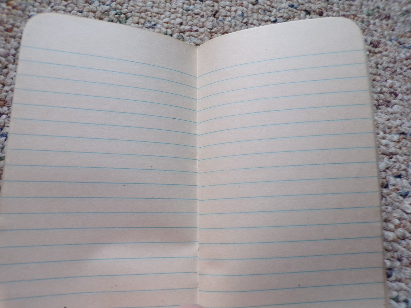 1948 Agrico Fertilizer American Agricultural Chemical Baltimore MD Bklt Notebk