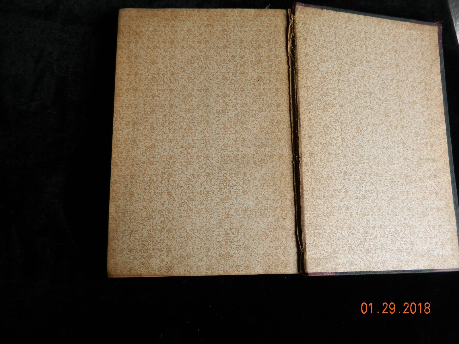 American Aberdeen-Angus Herd Book Vol 22 Original Hardcover RARE VINTAGE 1912