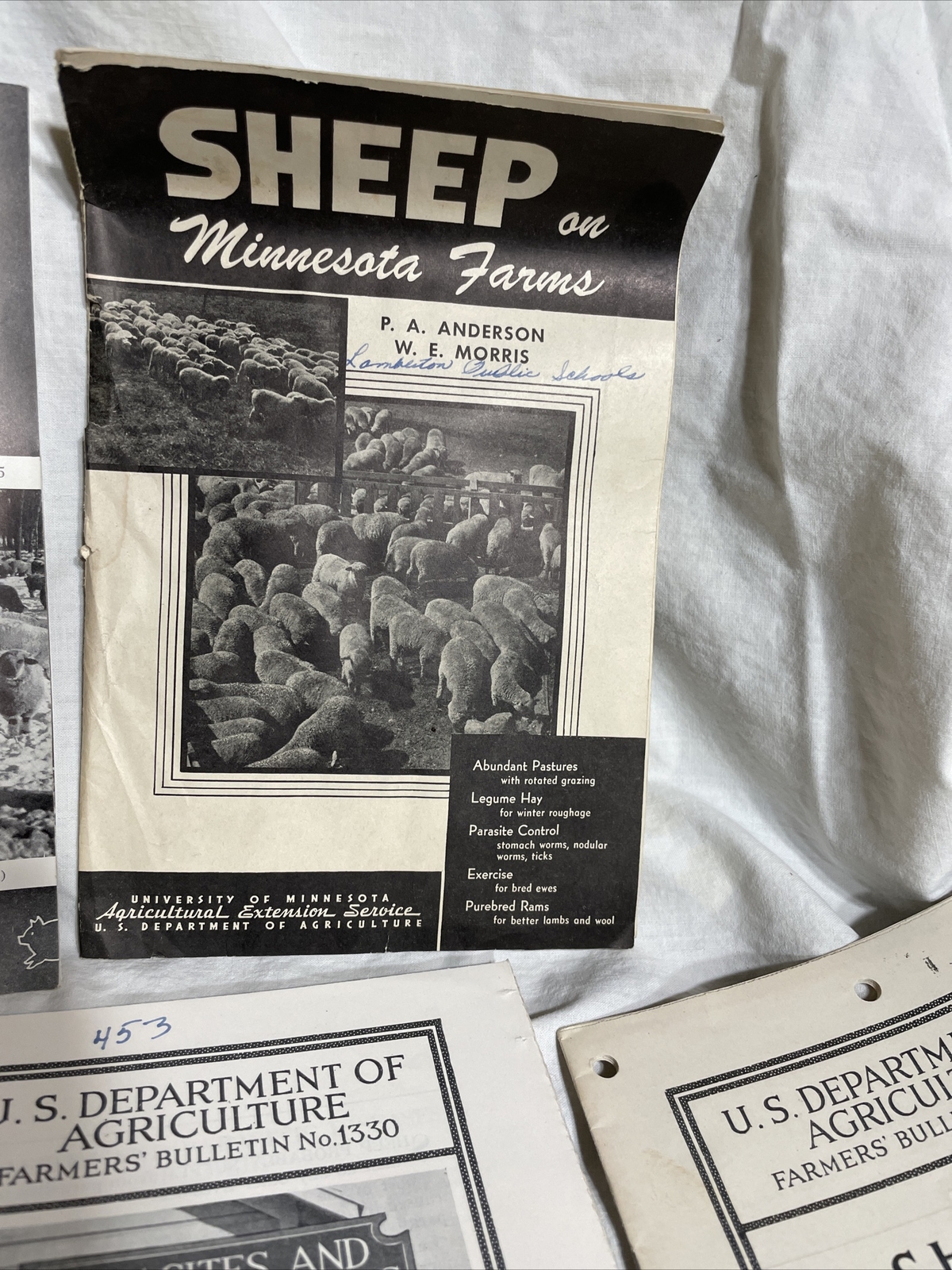 minnesota sheep farming bulletins