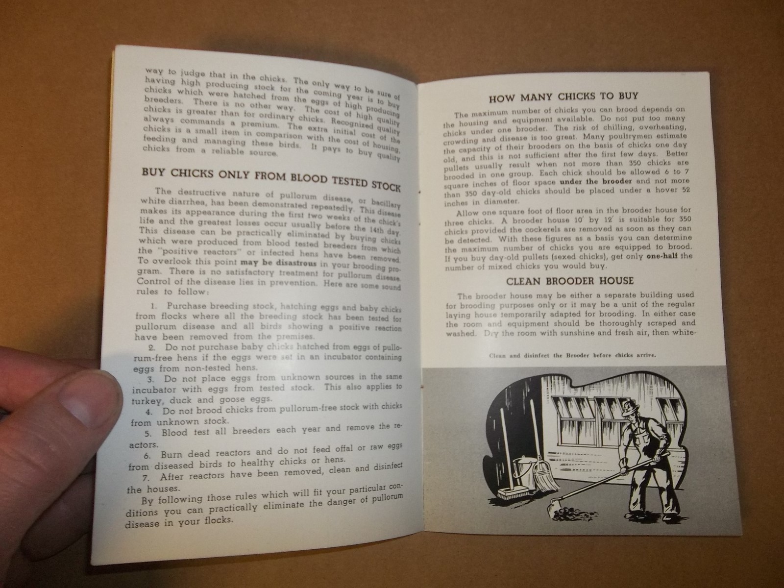 THE KASCO SYSTEM OF BROODING BOOKLET Toledo Ohio Waverly New York