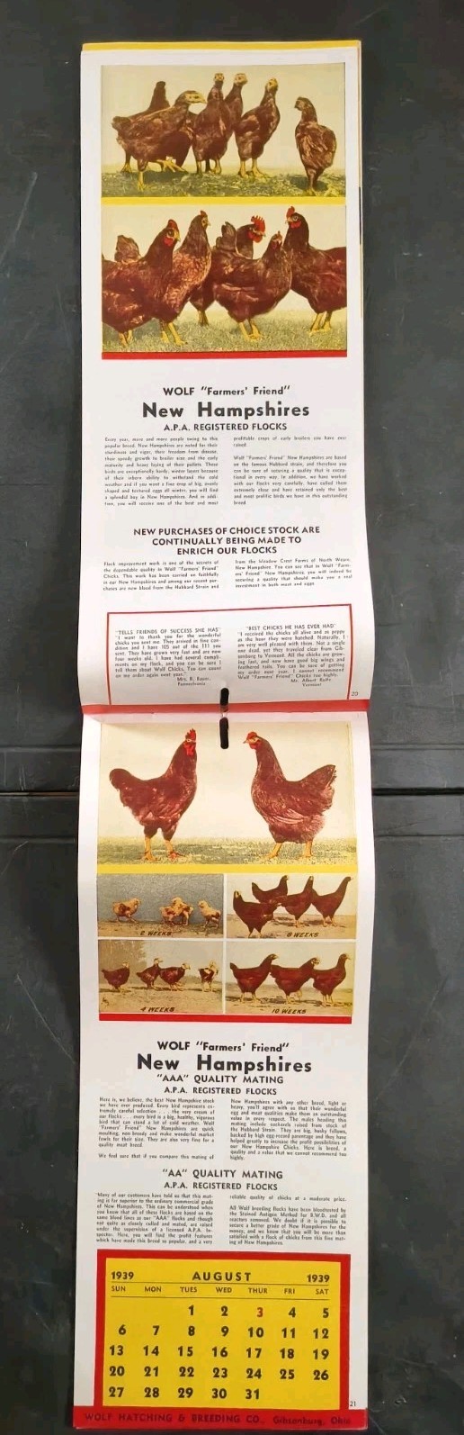 1939 Wolf Baby Chicks Catalog Calendar Sale Brochure Chicken Farming Advertising