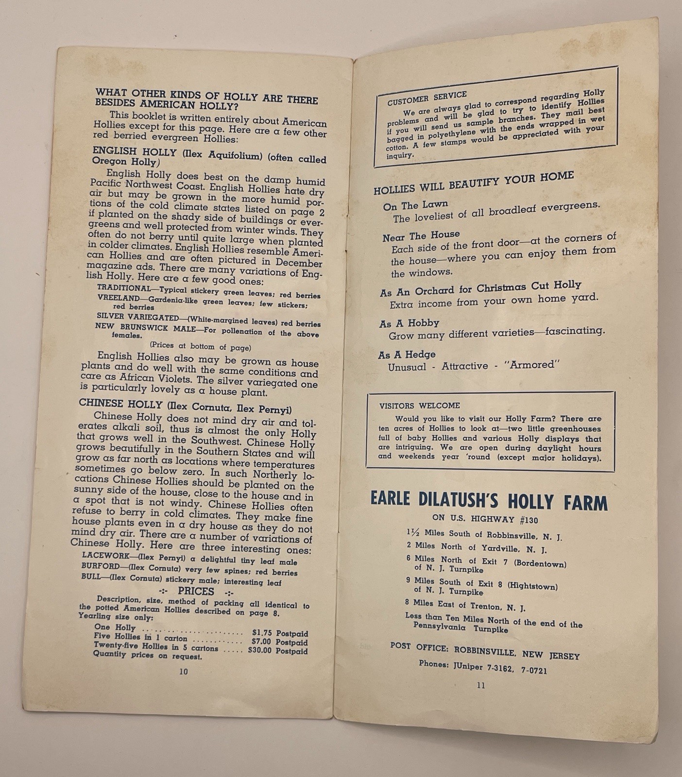 Earle Dilatush Holly Farm/Holly Specialist brochure- New jersey – 4×9