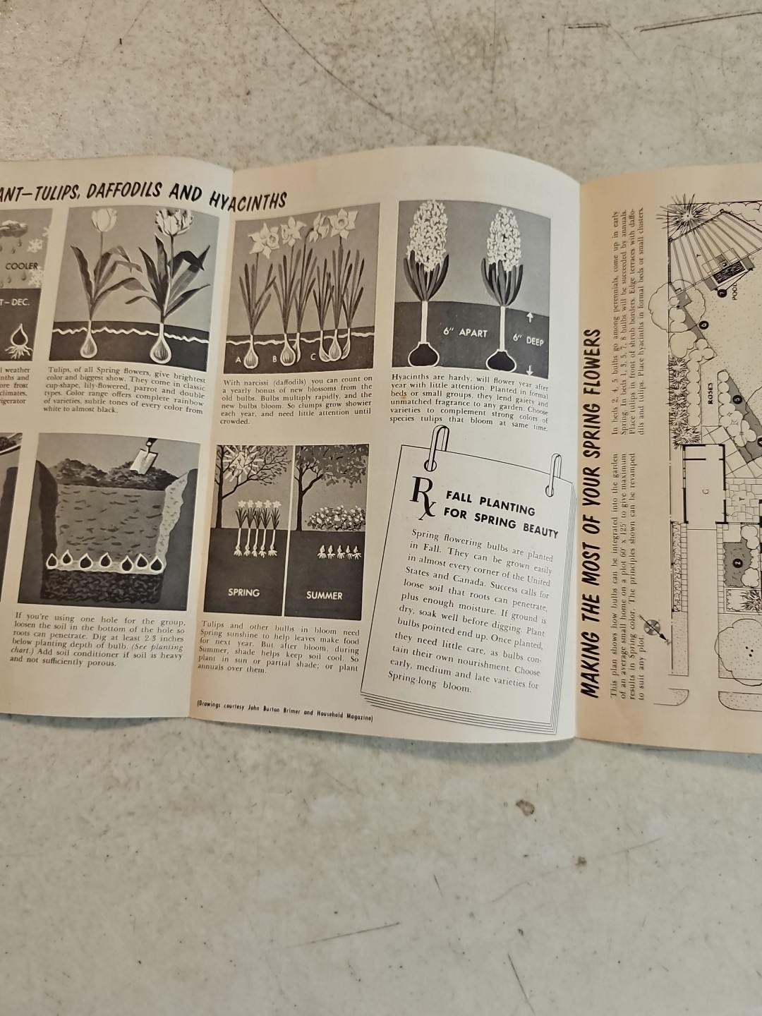 Vintage Associated Bulb Growers of Holland Brochure Dutch Bulbs