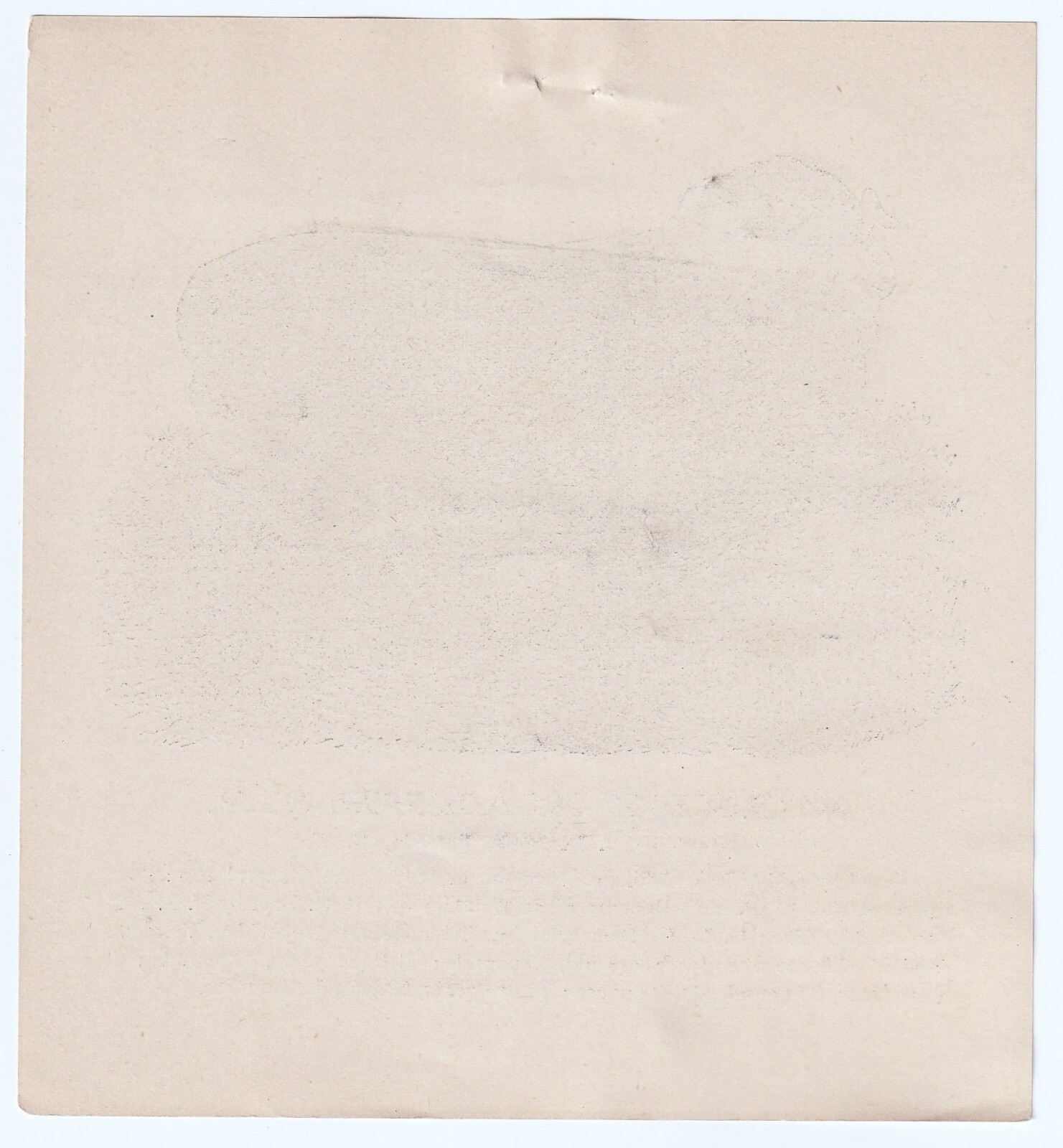 SUPER Advertising Flyer Leaflet- « Money Maker » Horn Sheep Ram – 1880 Batavia NY