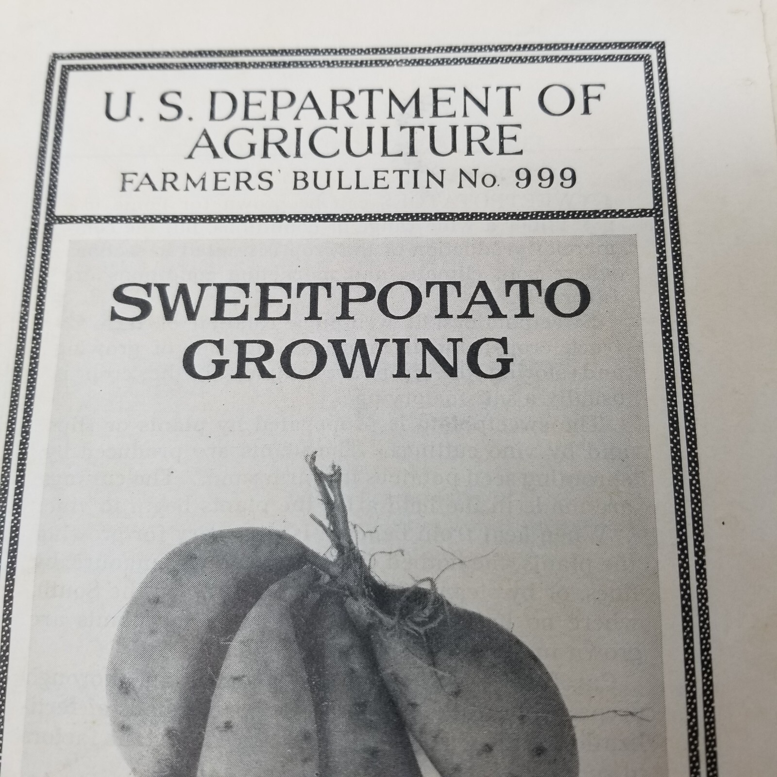 Sweet Potato Growing 1940 Farmers&rsquo; Bulletin Booklet 999 USDA Photos Charts