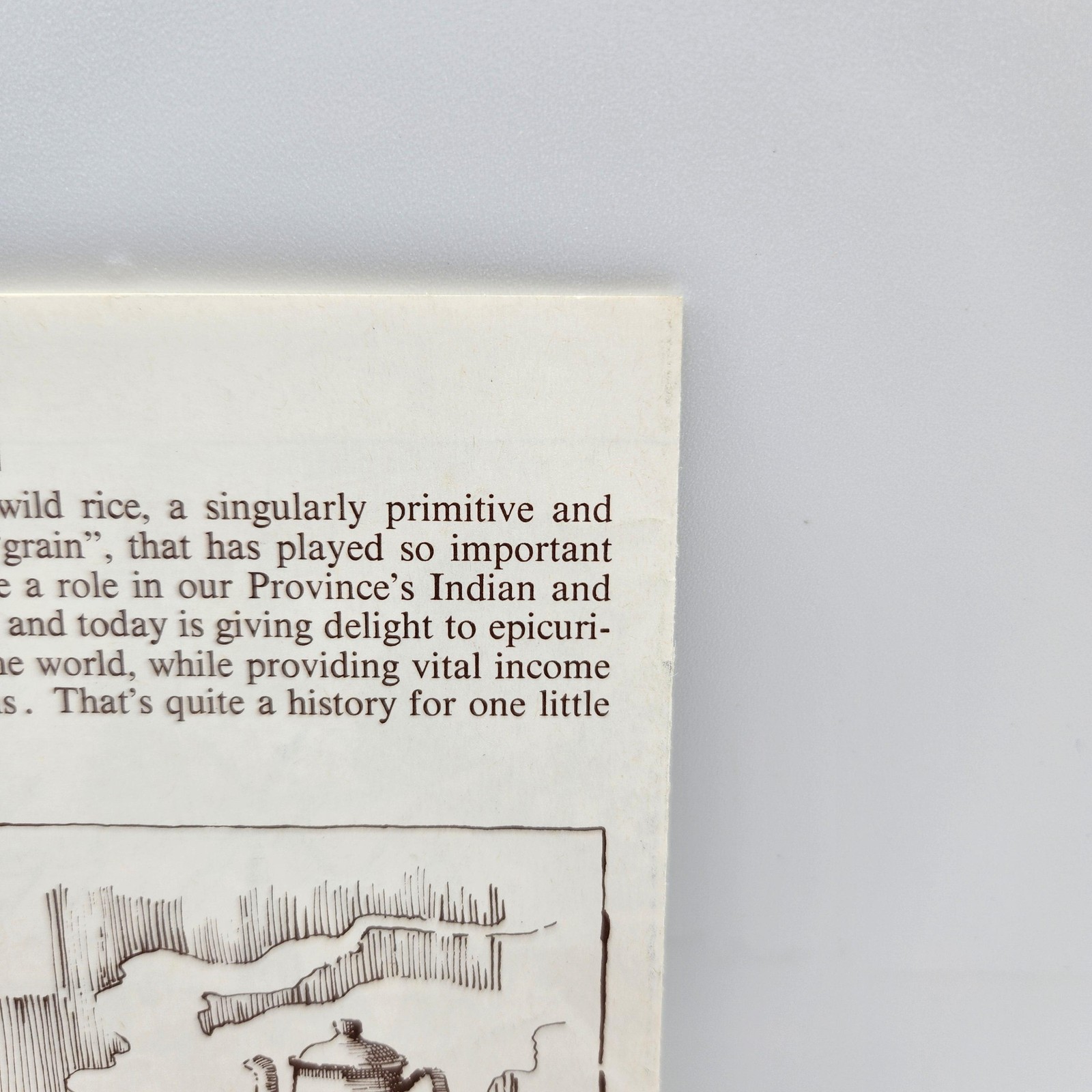 Unknown Crop Wild Rice Manitoba Heritage Cultural Affairs History Canada Food
