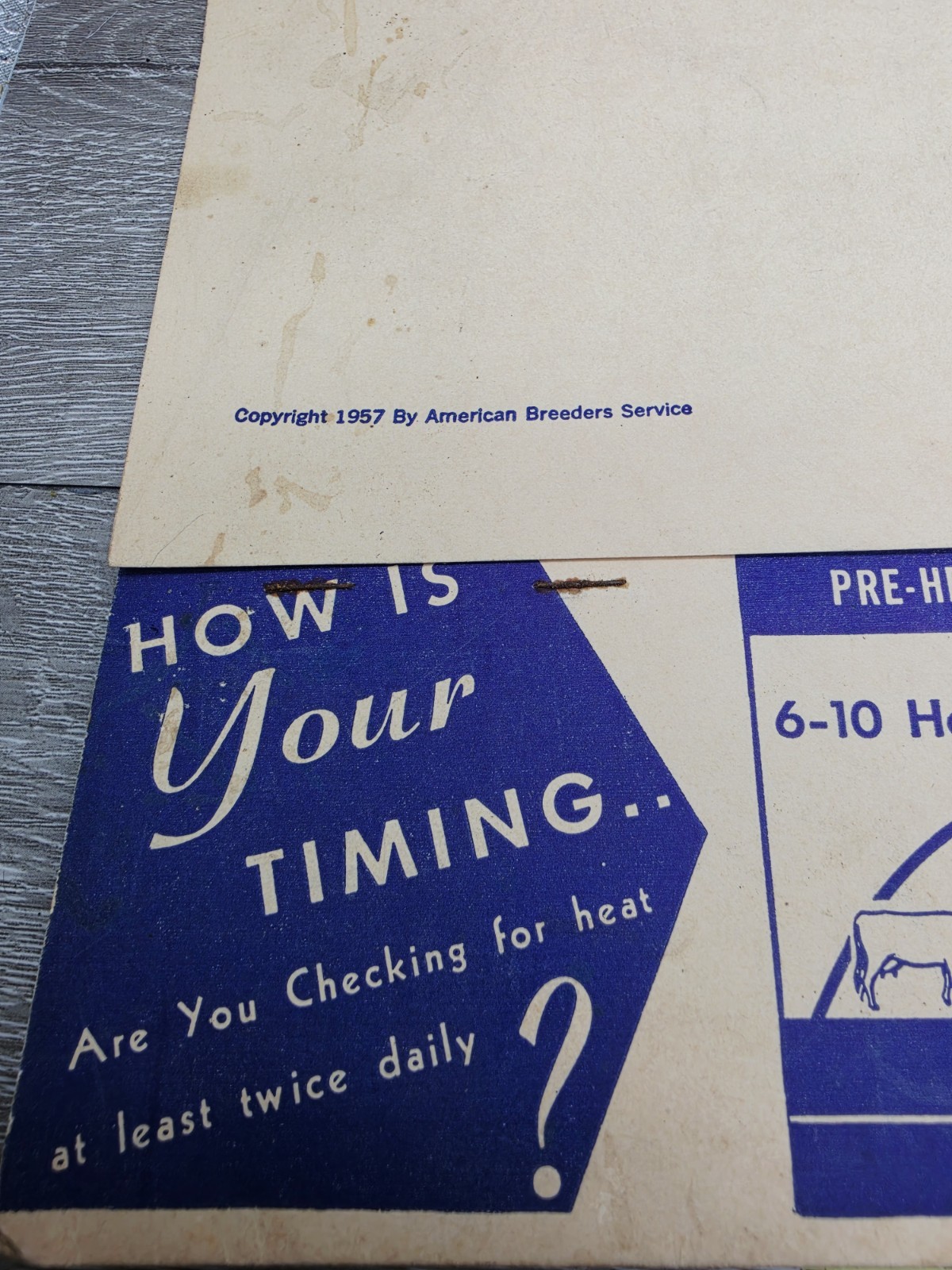 Rare 1957 American Breeders Service Folder Cow Breeding Schedule Advert Filled