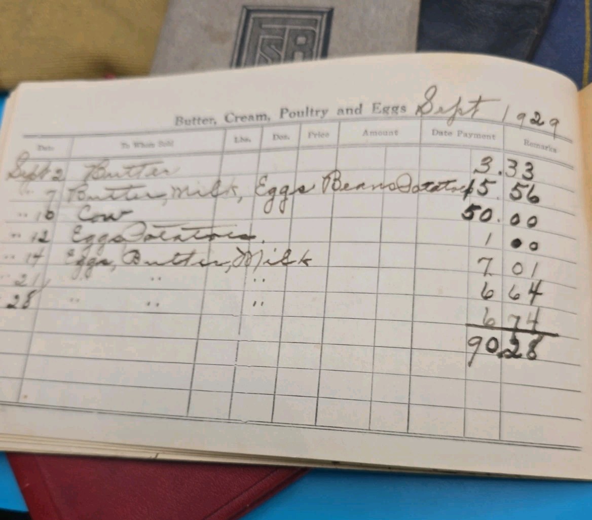 1928–1929 Michigan Farm Ledger – Buttermilk, Eggs, Produce, Livestock, Cow Sale